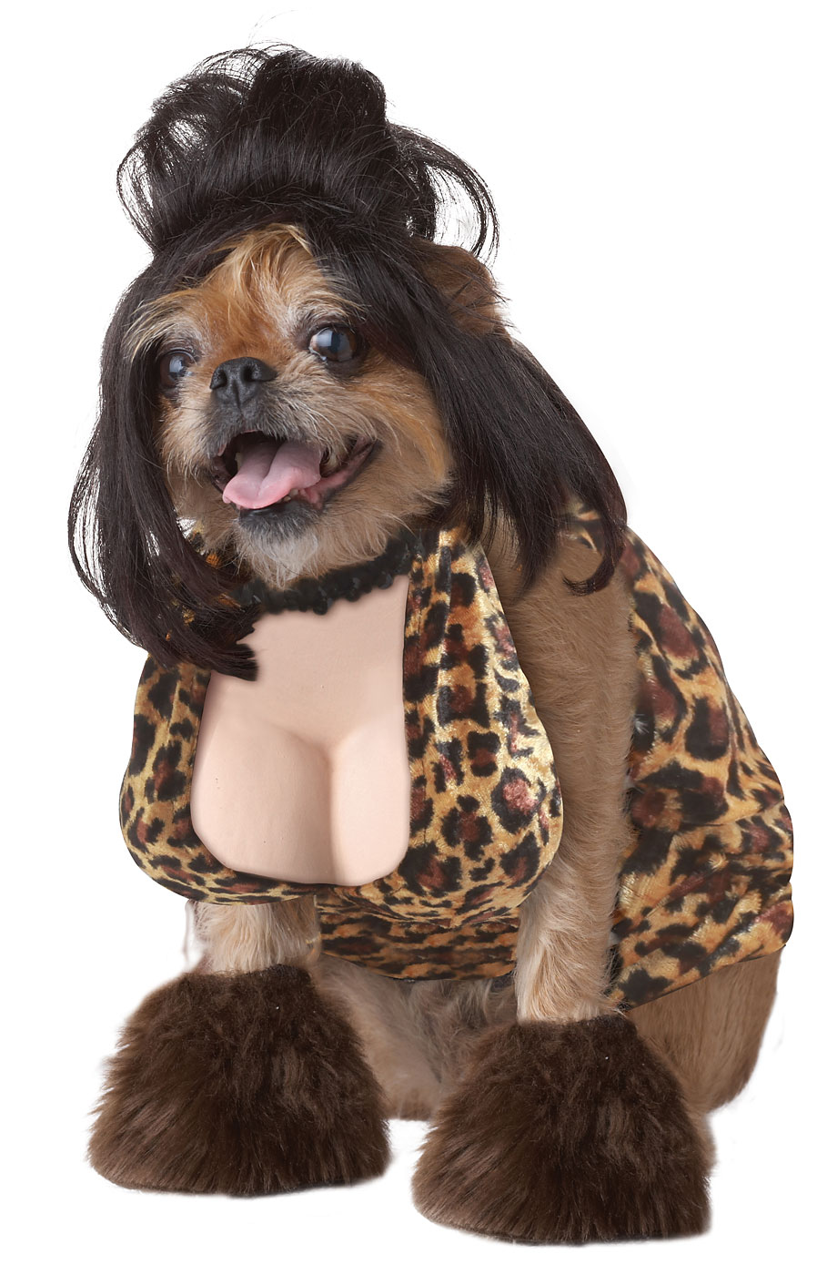 Female Cute Dog Outfits