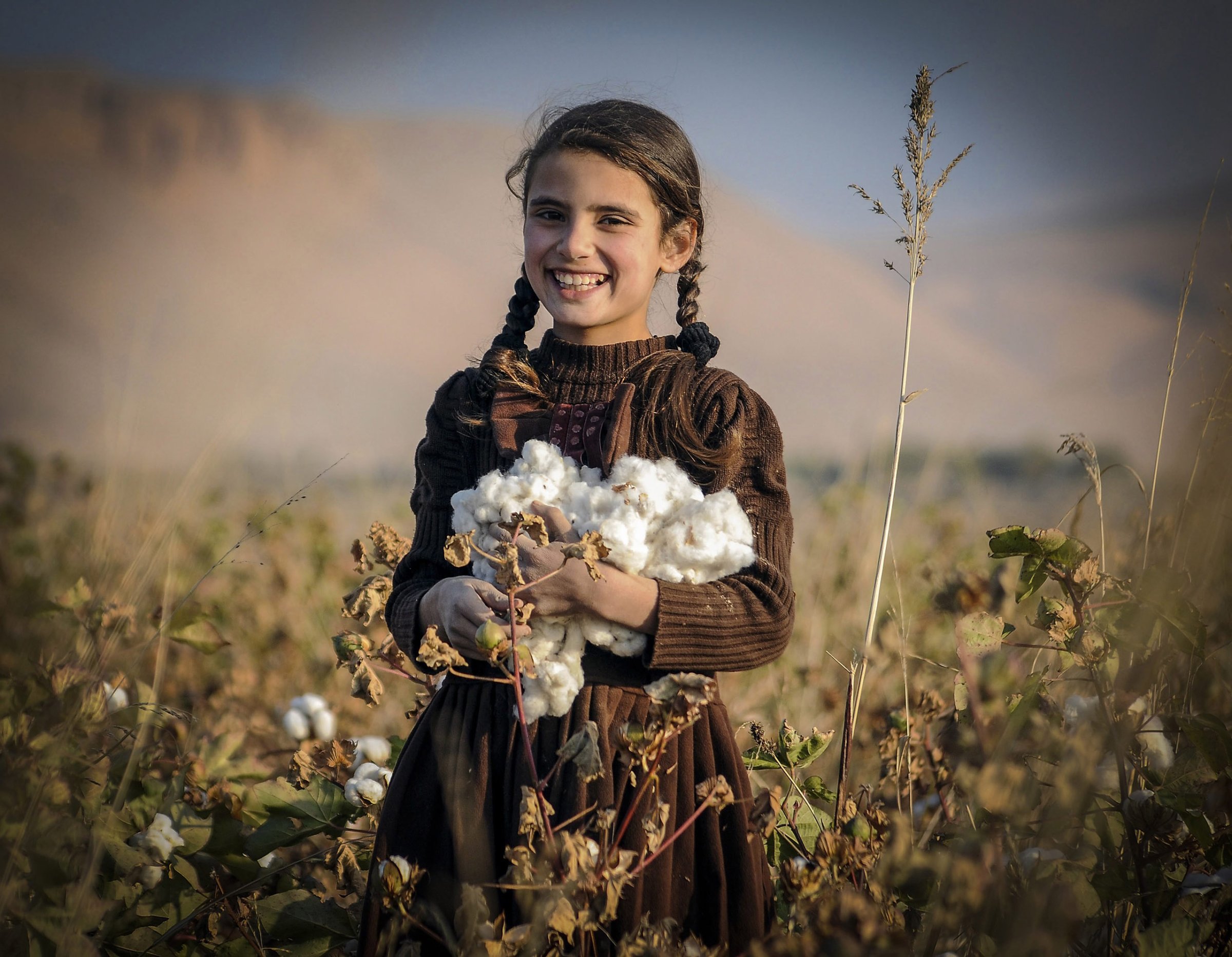 An Afghan girl harvests Cotton buds at a field on the outskirts of Balkh province, Afghanistan on Nov. 15, 2014.
