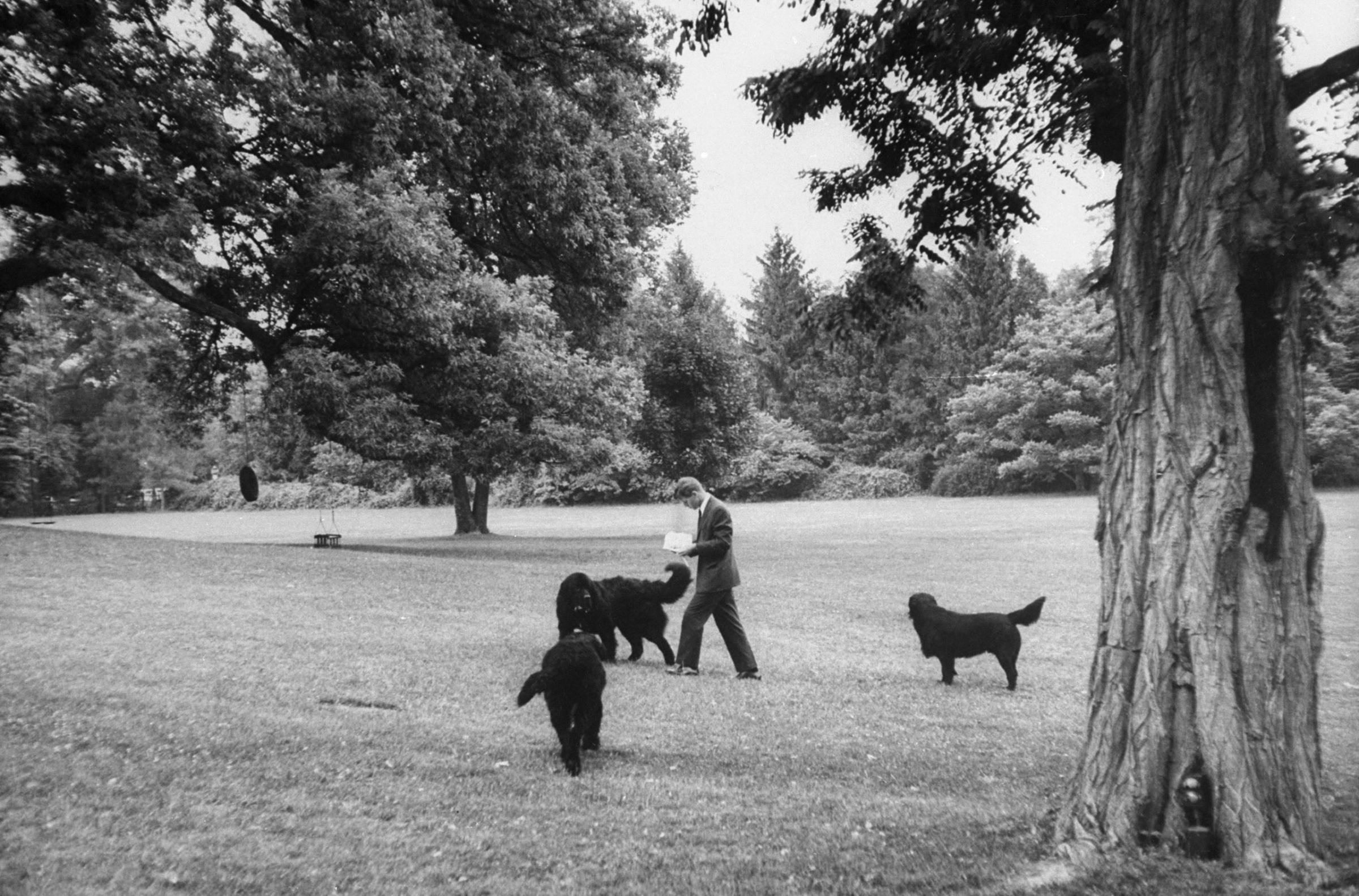 Robert Kennedy with his three dogs, Hickory Hill, Va., 1964.