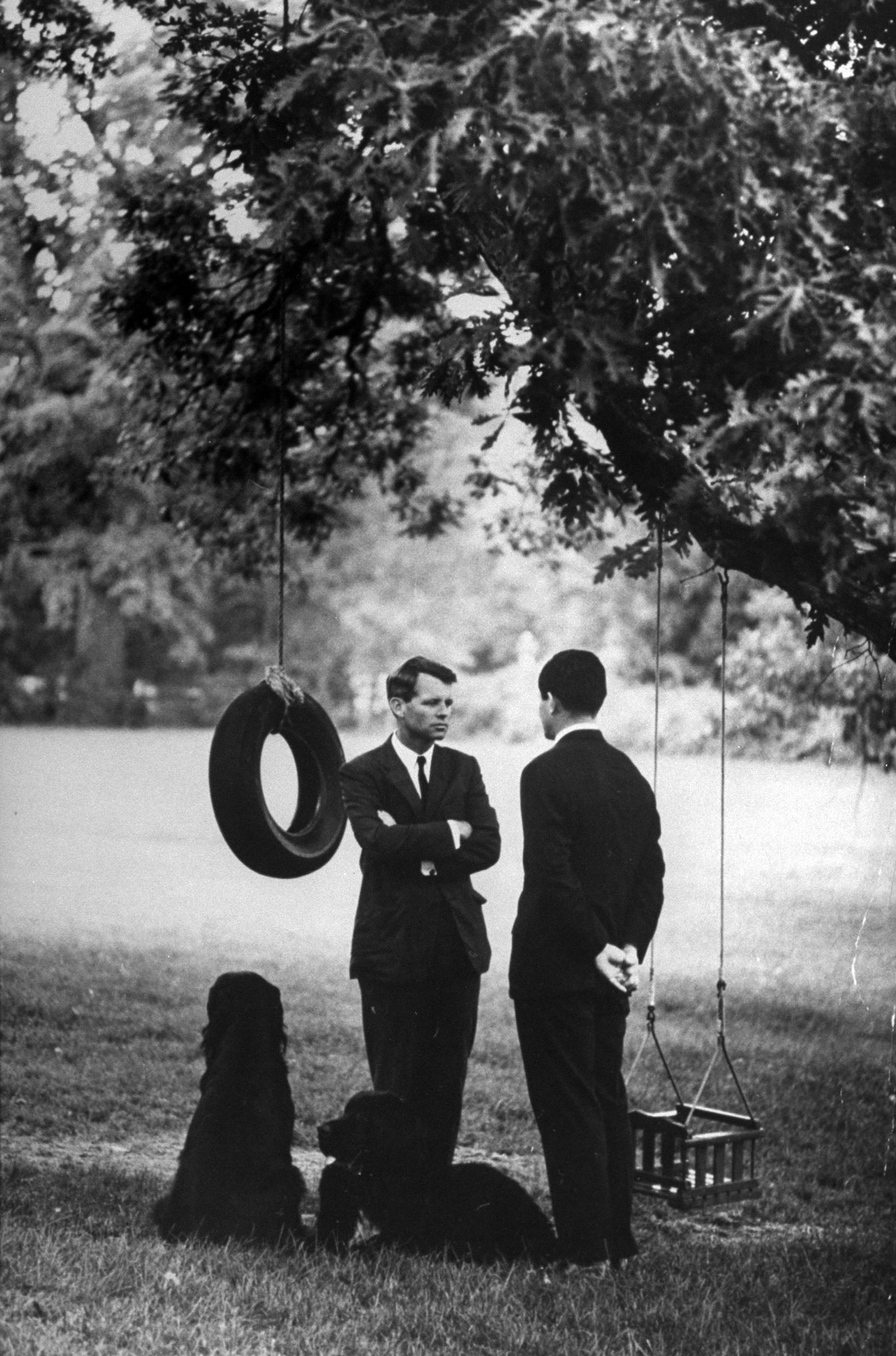 Under a tree hung with swings at Hickory Hill, Bob and Ted have a last talk about Bob's possible plans for entering the New York Senate race.