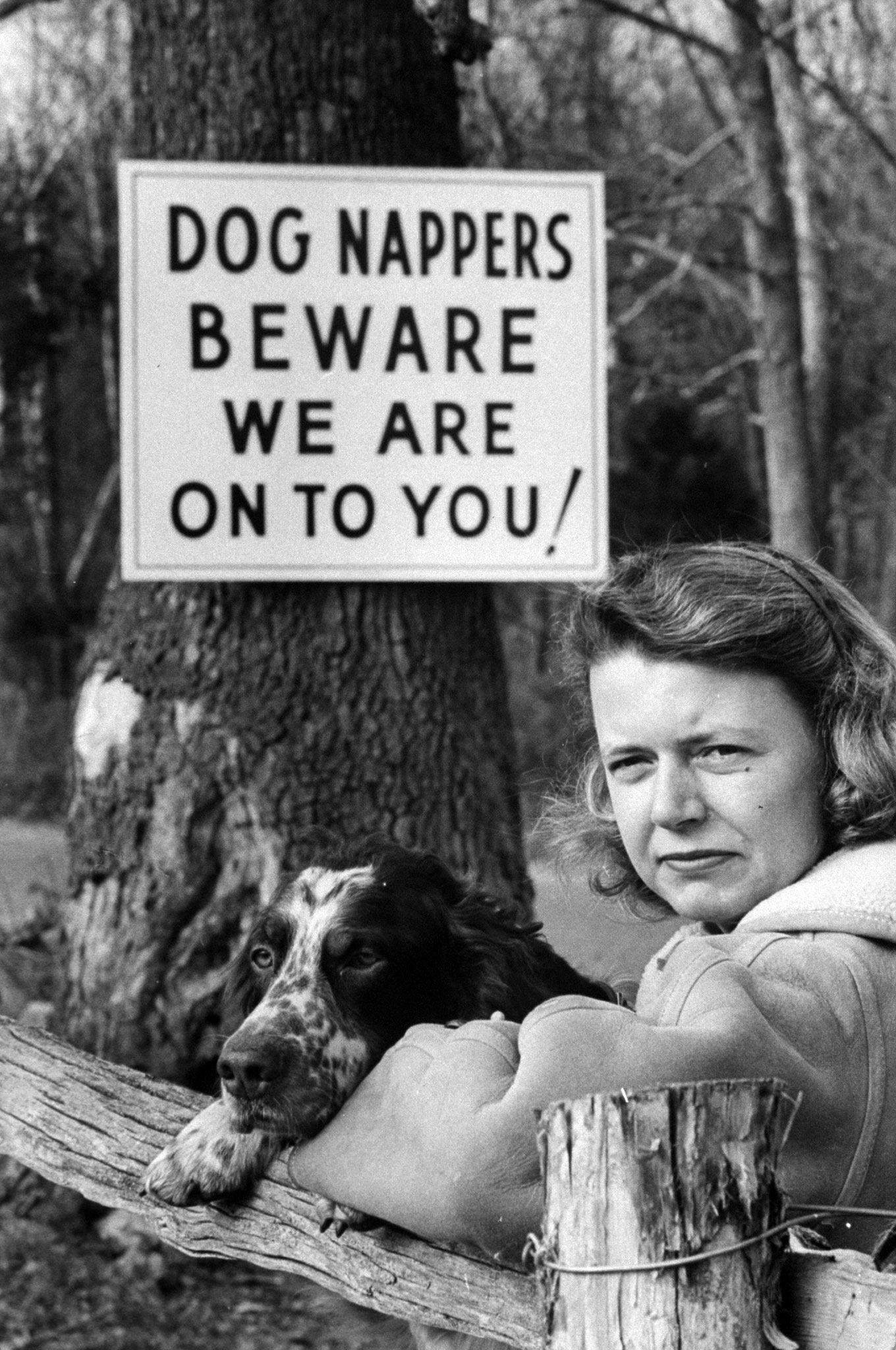Angered by the disappearances of their family pets in Clarke County, Va., Mrs. William Mitchell and her neighbors put up signs to discourage thieves.