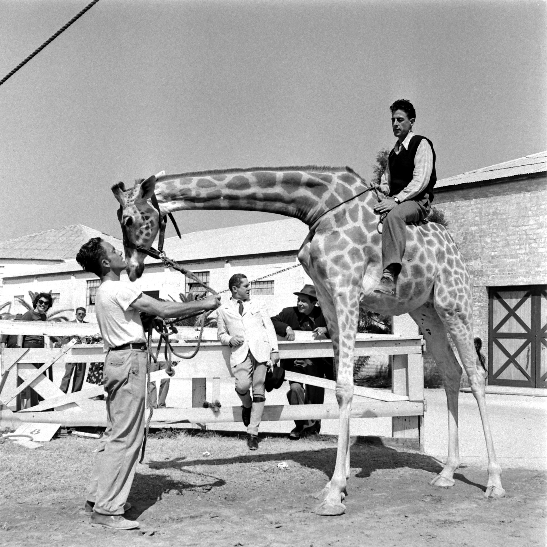 Ringling Bros. and Barnum & Bailey Circus, 1949.