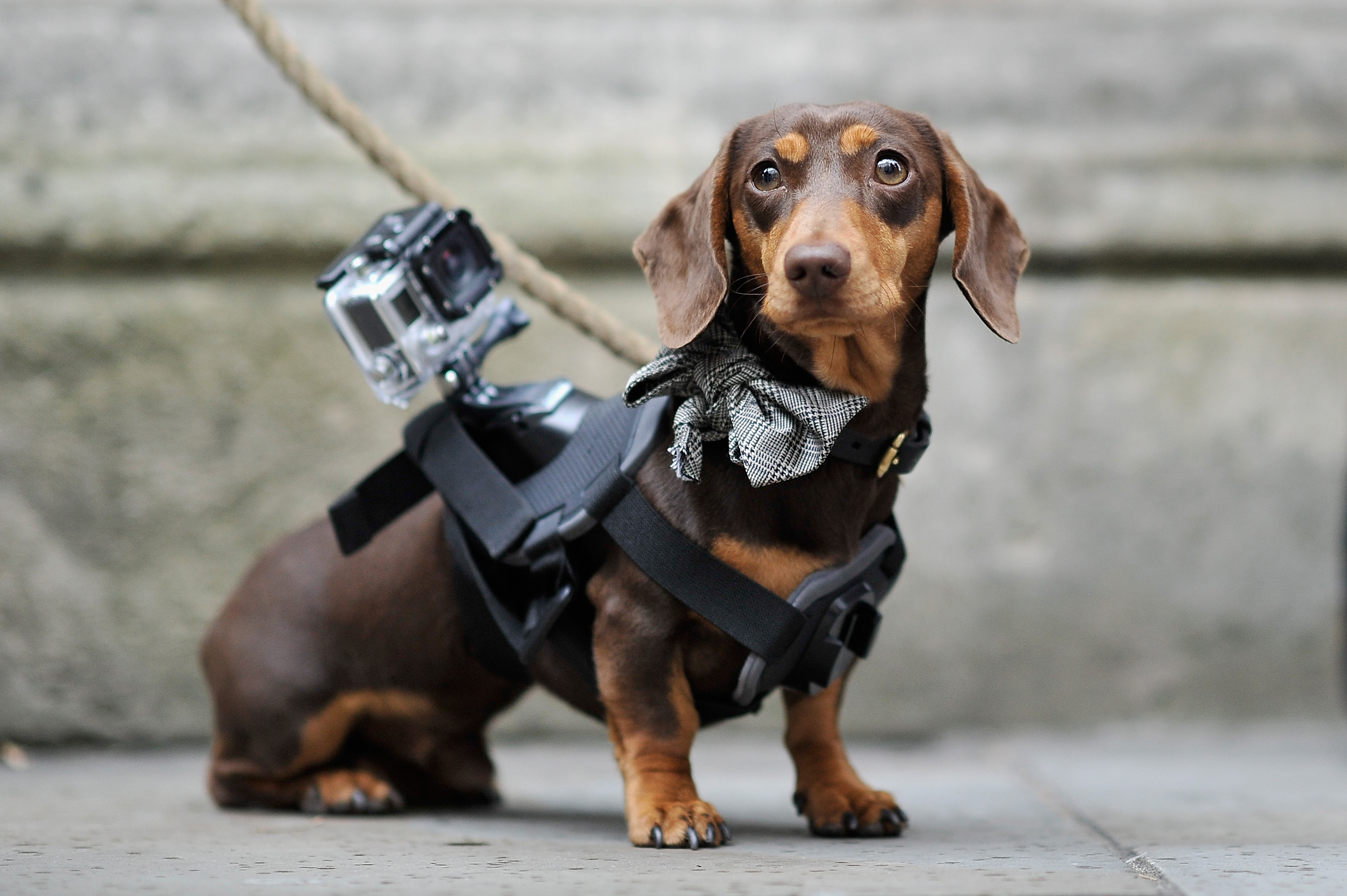 Sergio the Shoe Hunter is seen with his GoPro camera outside the Matthew Williamson show during London Fashion Week Spring Summer 2015 at  on September 14, 2014 in London, England. (Gareth Cattermole&mdash;Getty Images)