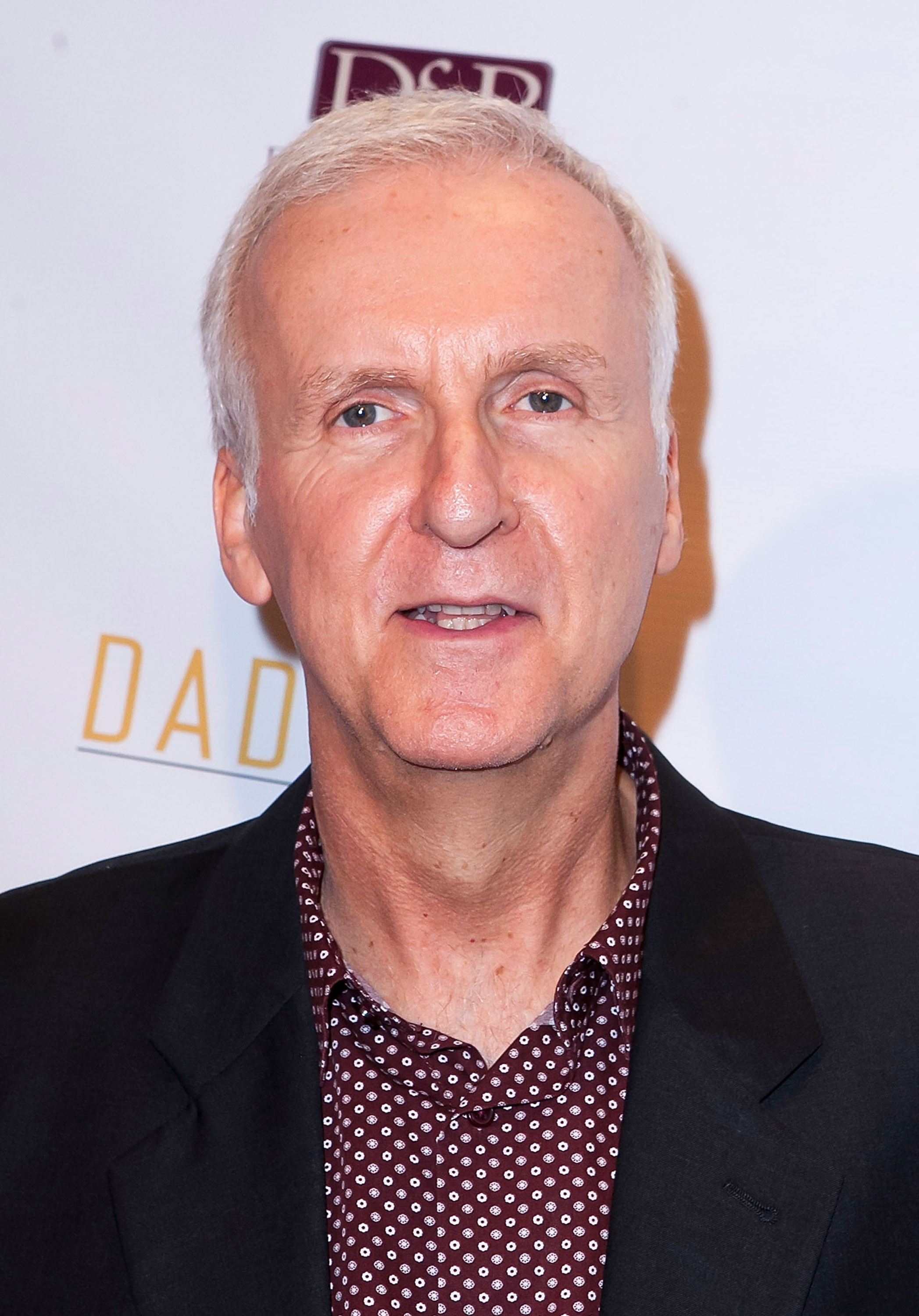 James Cameron arrives for the Premiere Of "All You Need Is Love" - Arrivals at Ray Kurtzman Theater on October 29, 2014 in Los Angeles, California. (Gabriel Olsen—Getty Images)