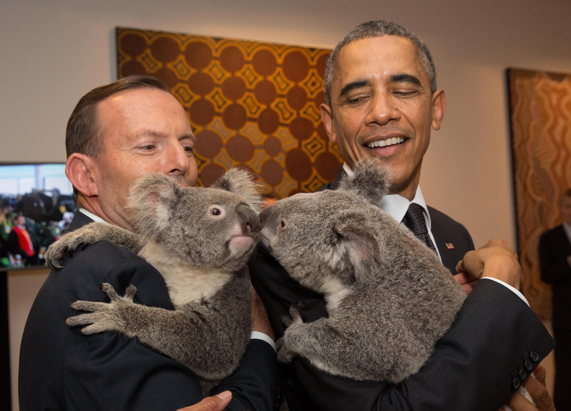 Australia's Prime Minister Tony Abbott and United States' President Barack Obama meet Jimbelung the koala before the start of the first G20 meeting on Nov. 15, 2014 in Brisbane, Australia.