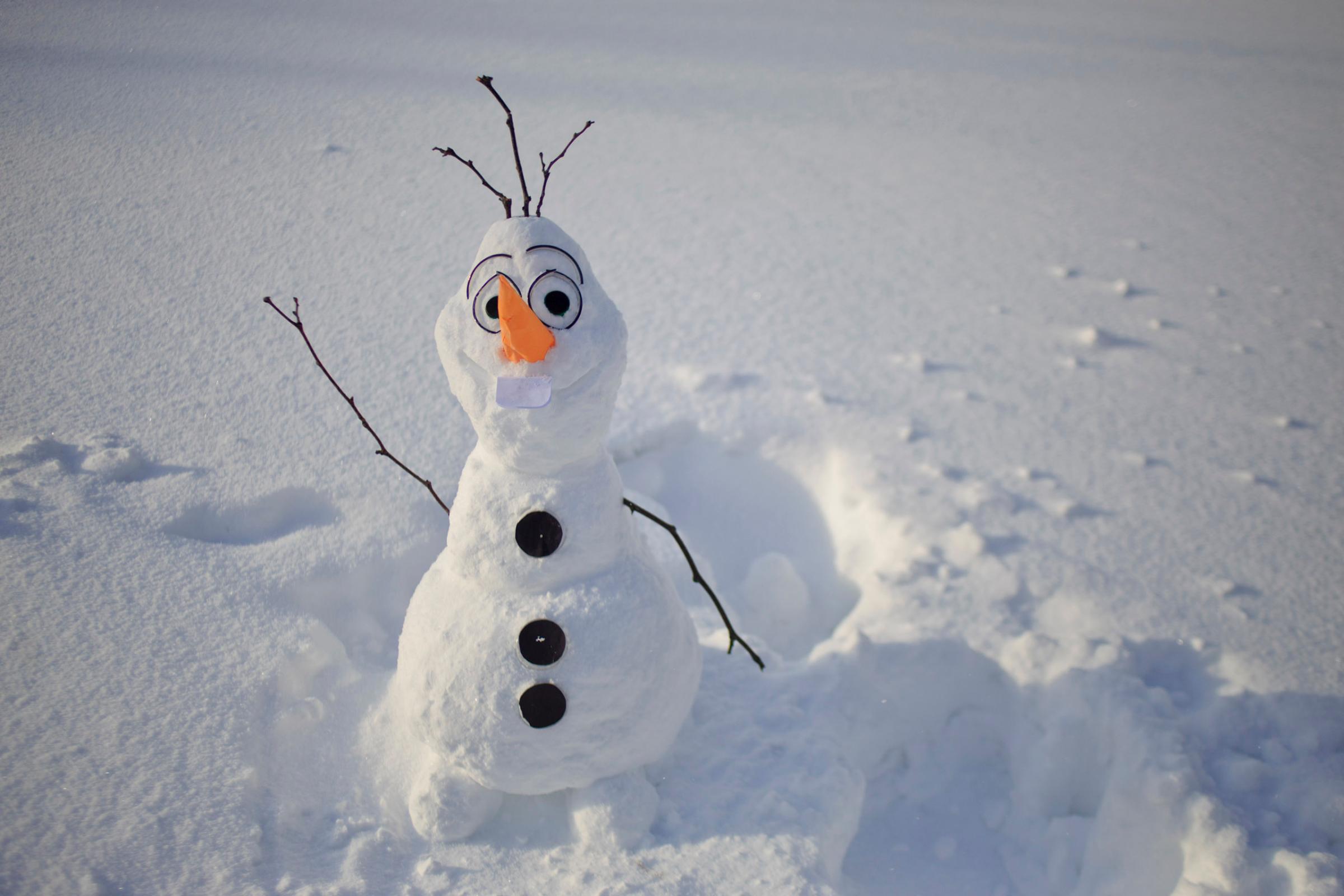 Students from the Grand Valley State University campus built a snowman that looks like the character Olaf from the movie 'Frozen' in Allendale, Mich. on Nov. 18, 2014.