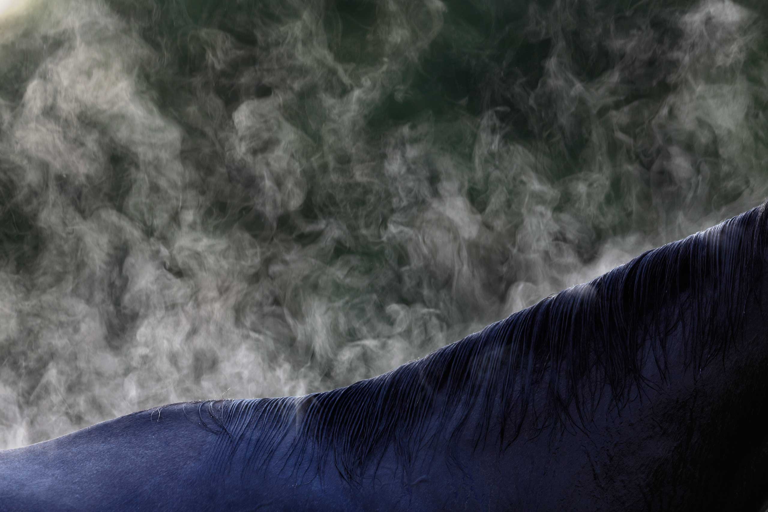 Steam rises from a thoroughbred racehorse after morning workouts on the day of the 140th running of the Kentucky Derby at Churchill Downs in Louisville, Ky., May 3, 2014.