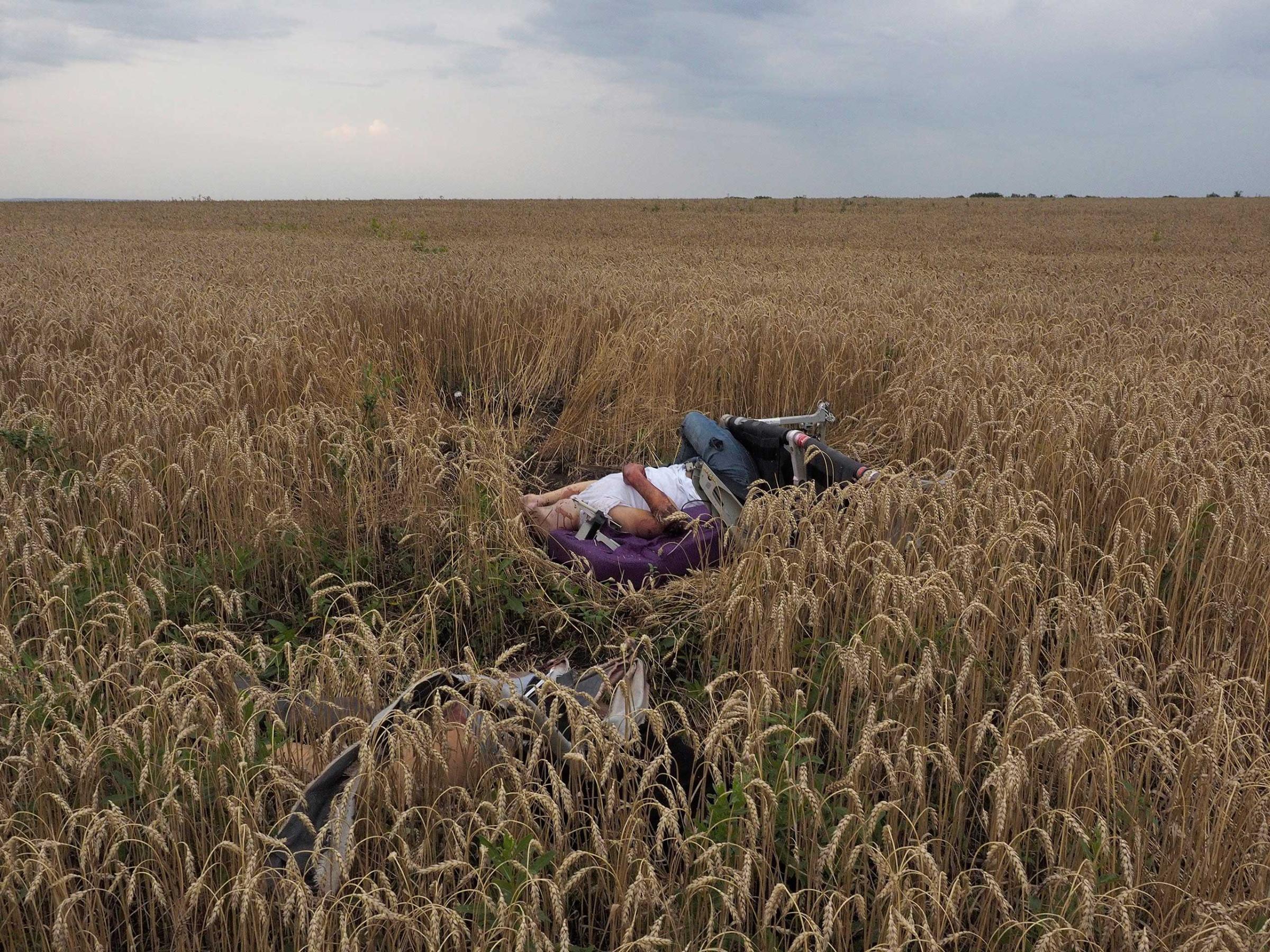 The body of a passenger from Malaysian Airlines flight MH17 which was shot down over Ukraine, July 17, 2014.