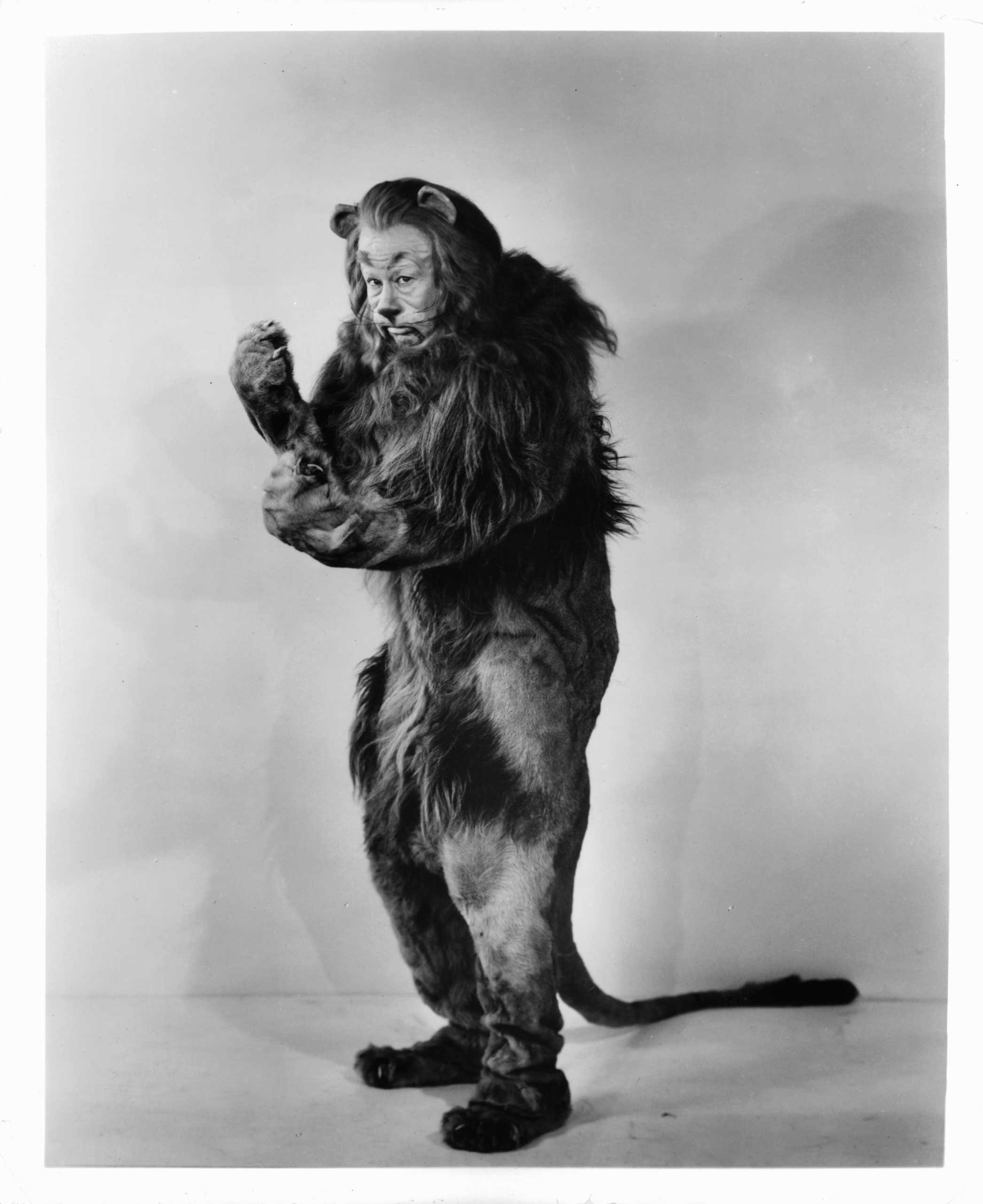 Bert Lahr In 'The Wizard Of Oz' as the Cowardly Lion