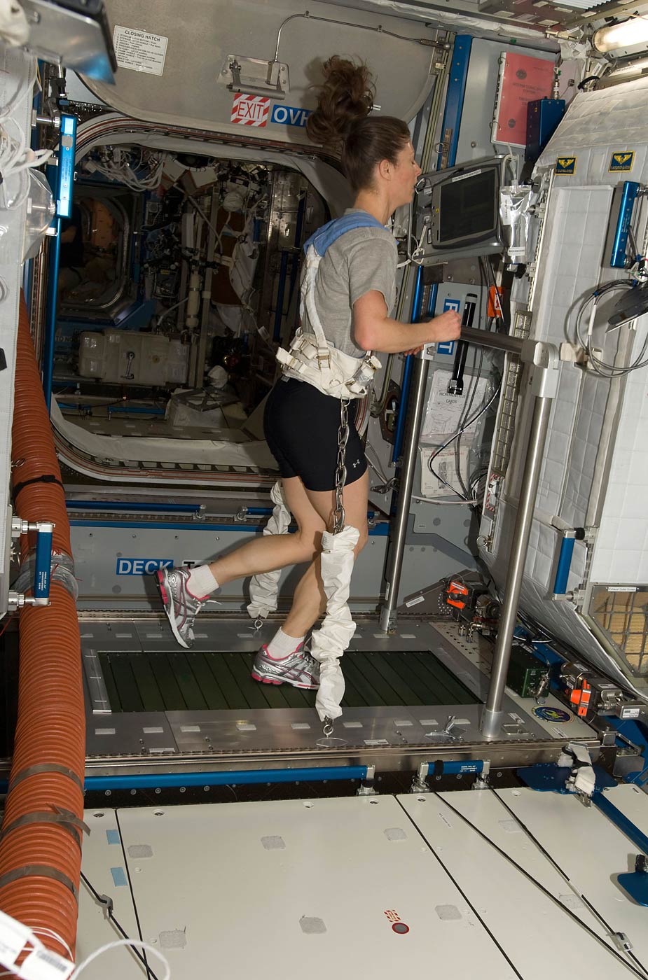 Astronaut Tracy Caldwell Dyson, equipped with a bungee harness, exercises on the Combined Operational Load Bearing External Resistance Treadmill