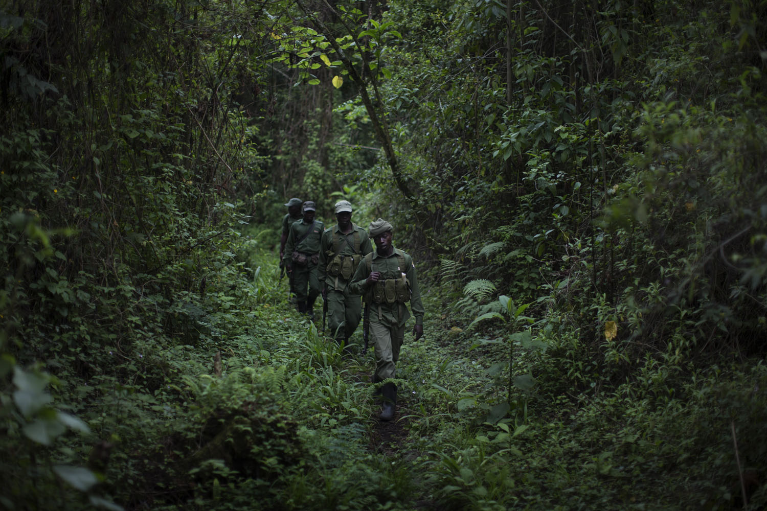 Park rangers hike down from their outpost on the Nyiragongo volcano in the Virunga National Park, where environmentalists are opposing oil drilling, in the Democratic Republic of Congo.