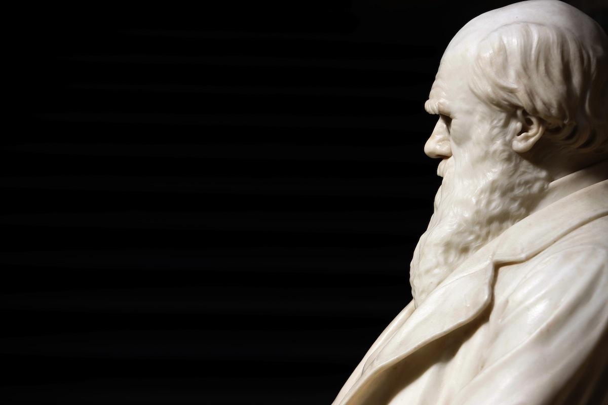 A statue of Darwin in the Natural History Museum, London (Philippe Lissac—Godong / Getty Images)