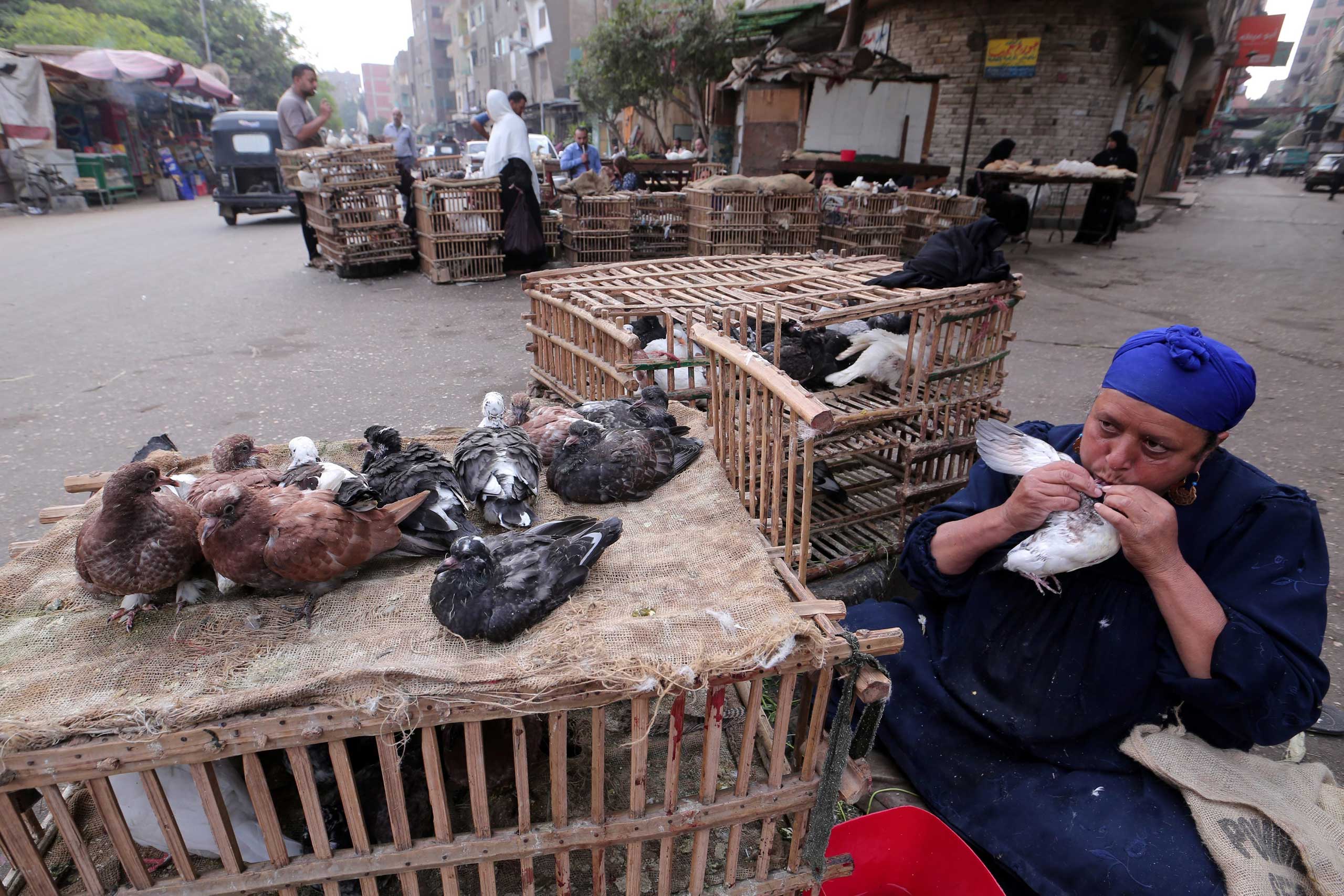A poultry merchant feeds a pigeon from her mouth in a popular market in Cairo, Egypt, Nov. 19 2014. (Khaled Elfiqi—EPA)