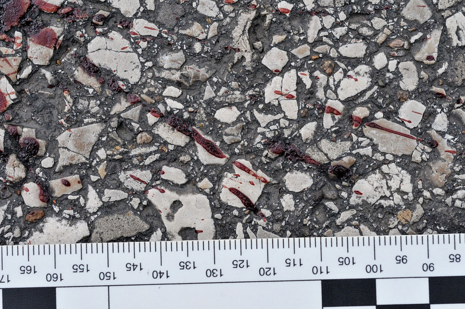 An undated evidence photograph made available by the St. Louis County prosecutors office on Nov. 25, 2014 shows blood stains on the street pavement from teenager Michael Brown's body following his shooting by Ferguson police officer Darren Wilson in Ferguson, Mo., in August 2014.