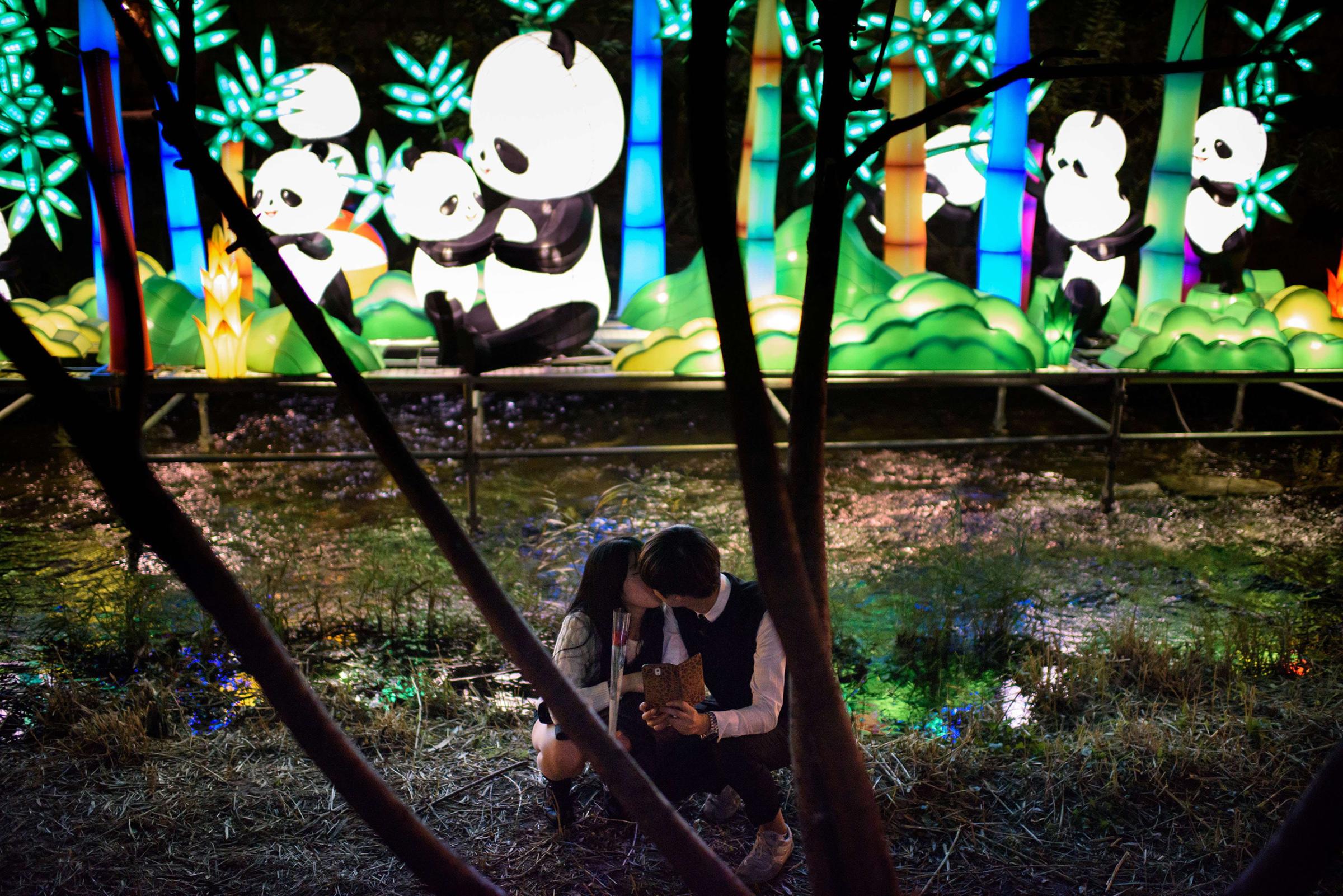 A couple kisses before a display of illuminated panda lanterns on the banks of the Cheonggyechun stream in central Seoul during the 6th annual lantern festival on Nov. 6, 2014.