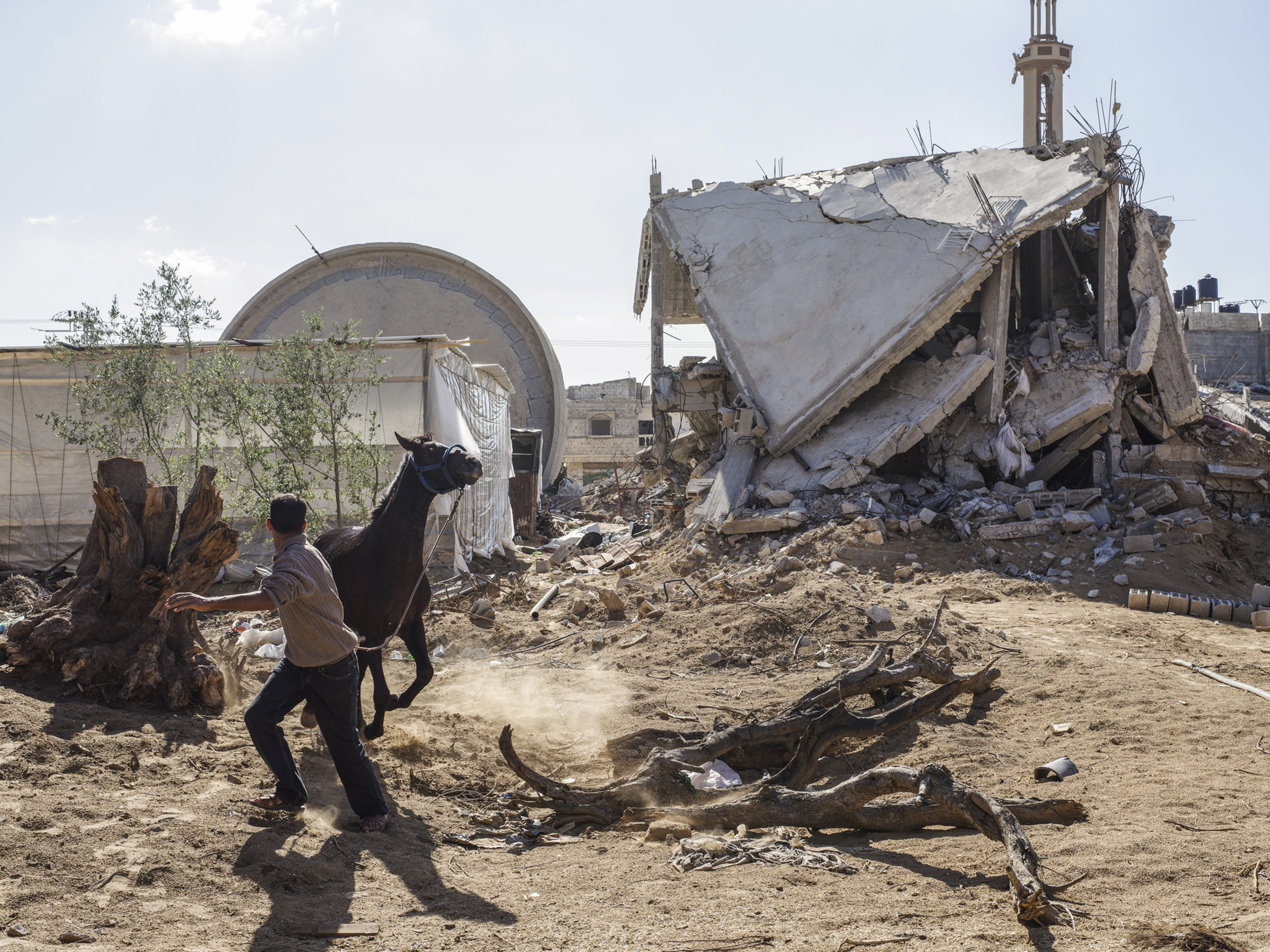 A runaway horse is seen near a destroyed mosque in southern Gaza.