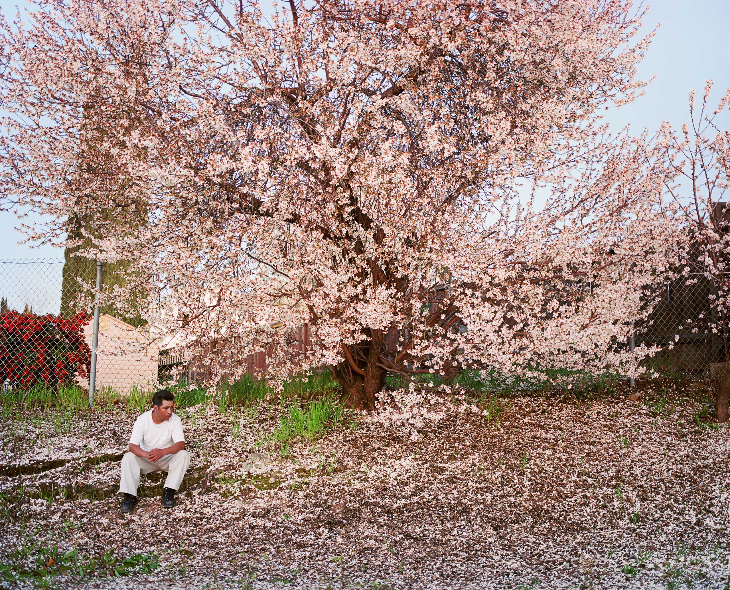 Antioch Creek, 2008, from the series Homeland