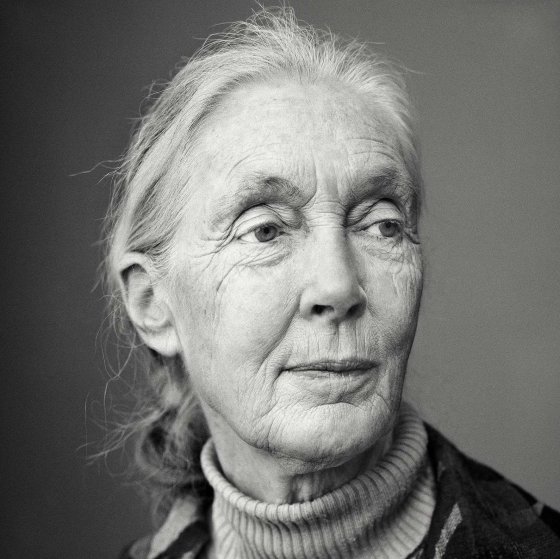 Dr. Jane Goodall.