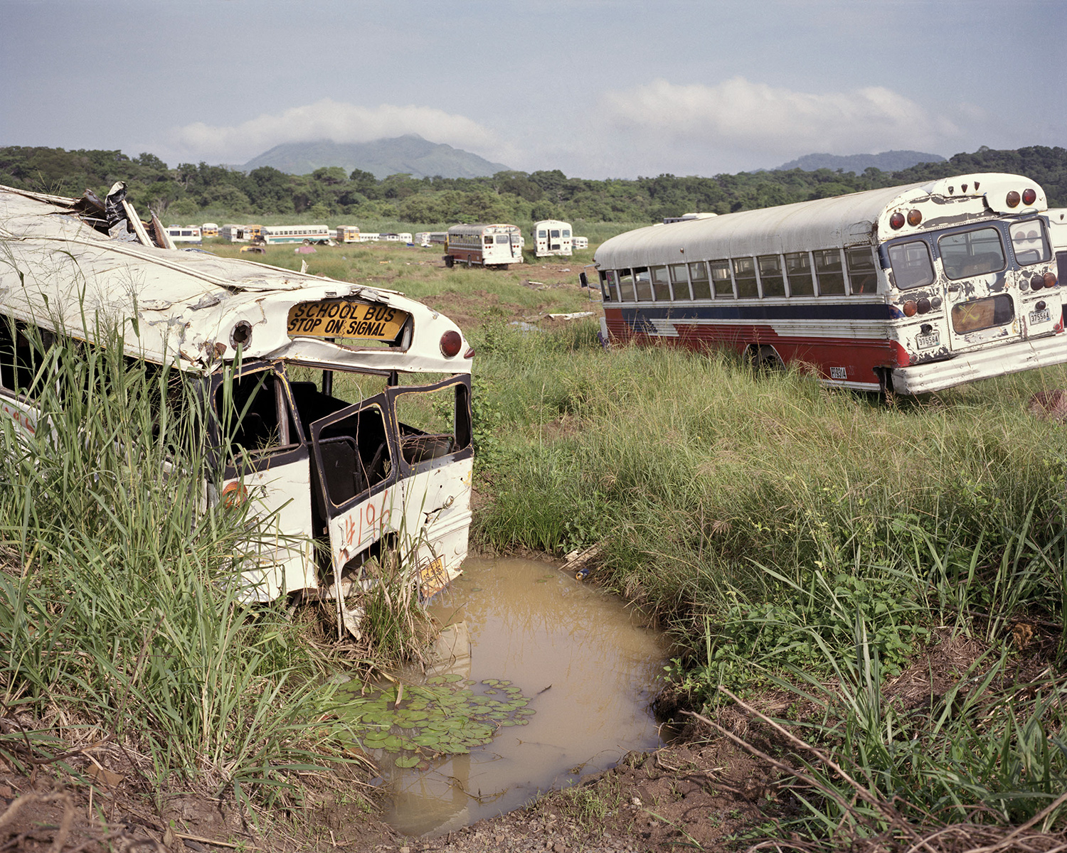 Discarded buses litter a field at the former Howard Air Force Base, in Panama, which closed in 1999.