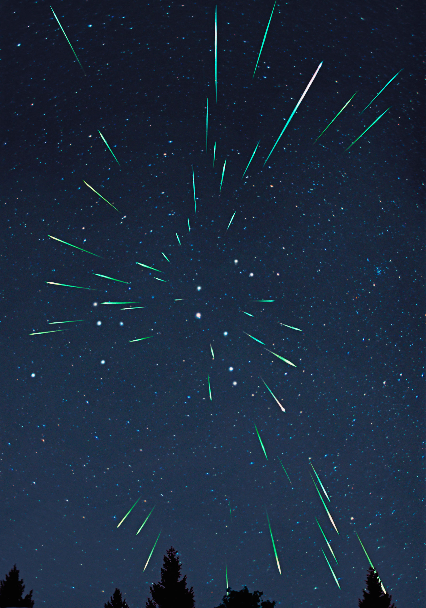 A multiple exposure of a Leonid meteor shower.