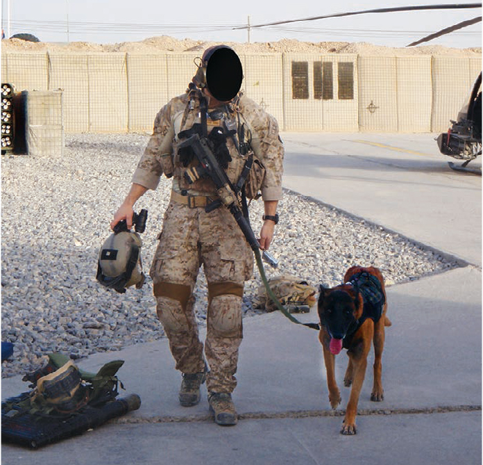 Hair Missile and handler on an Afghanistan deployment.