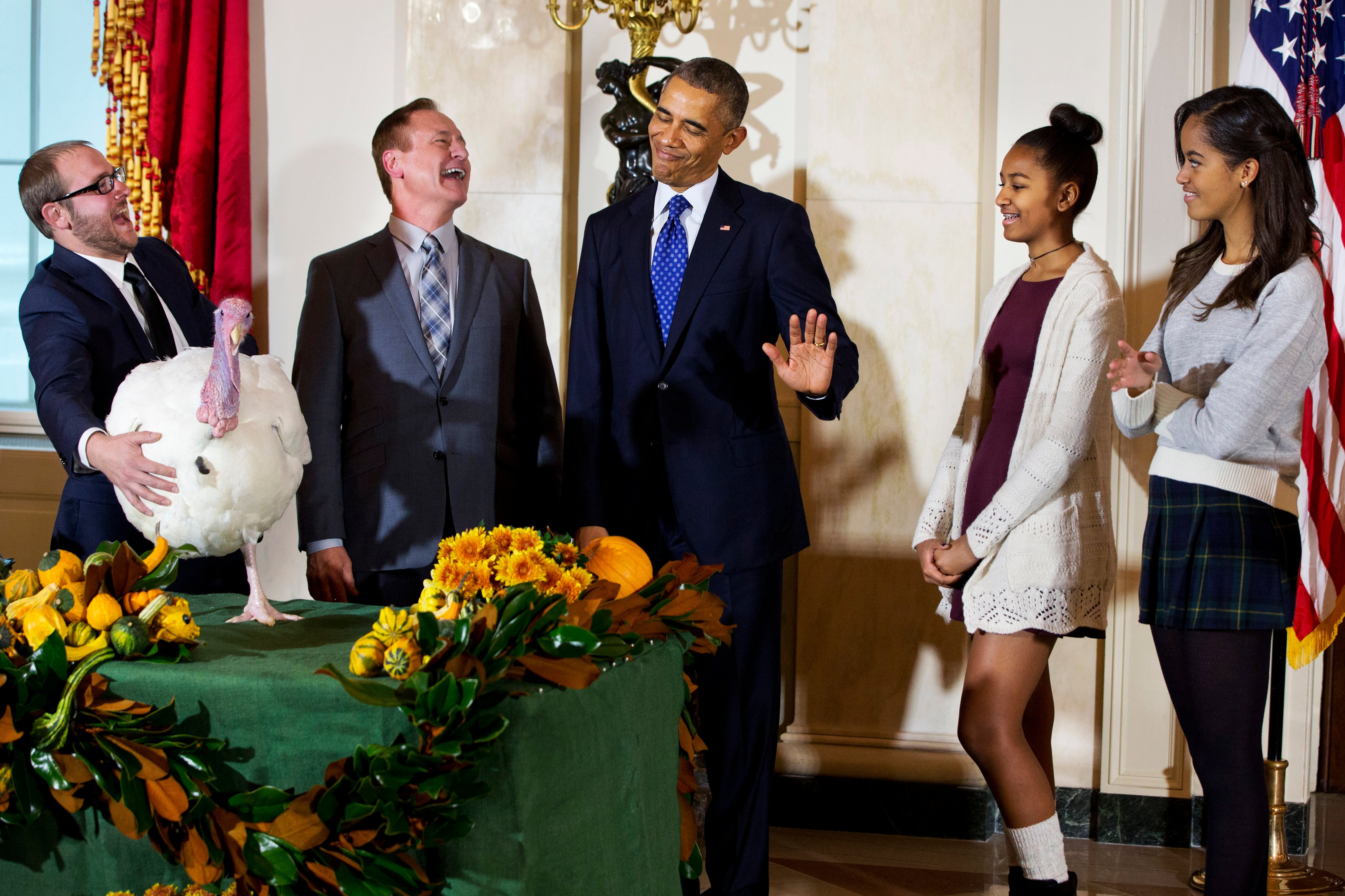 President Barack Obama gestures that his daughters Sasha and Malia would rather pass on touching "Cheese," the turkey during a ceremony at the White House in Washington D.C. on Nov. 26, 2014. (Jacquelyn Martin—AP)