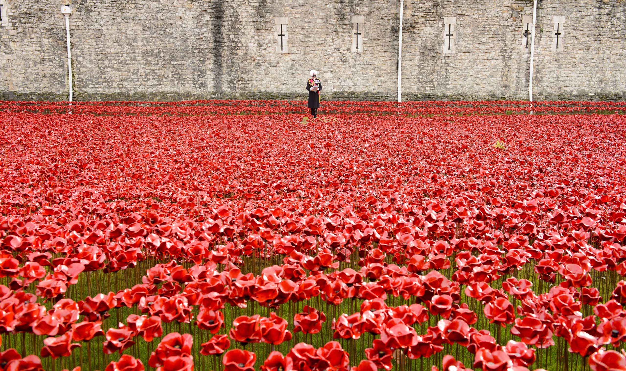 Nov. 11, 2014. The names of the war dead are read out at the Blood Swept Lands and Seas of Red poppy installation at The Tower of London on Armistice Day in London.