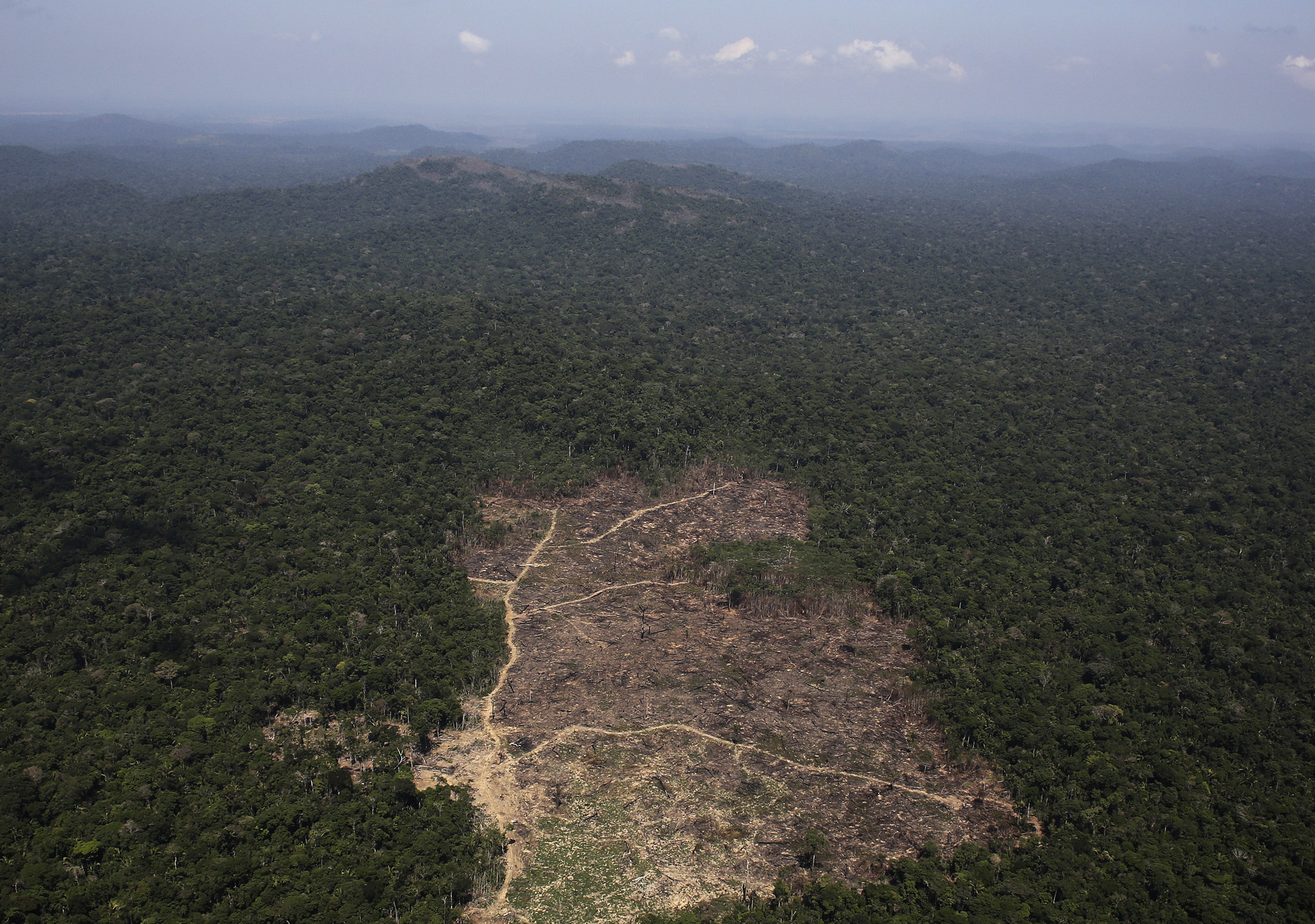 An aerial view of a tract of the Amazon jungle recently cleared by loggers and farmers near the Brazilian city of Novo Progresso, Pará state, on Sept. 22, 2013 (© Nacho Doce / Reuters—REUTERS)