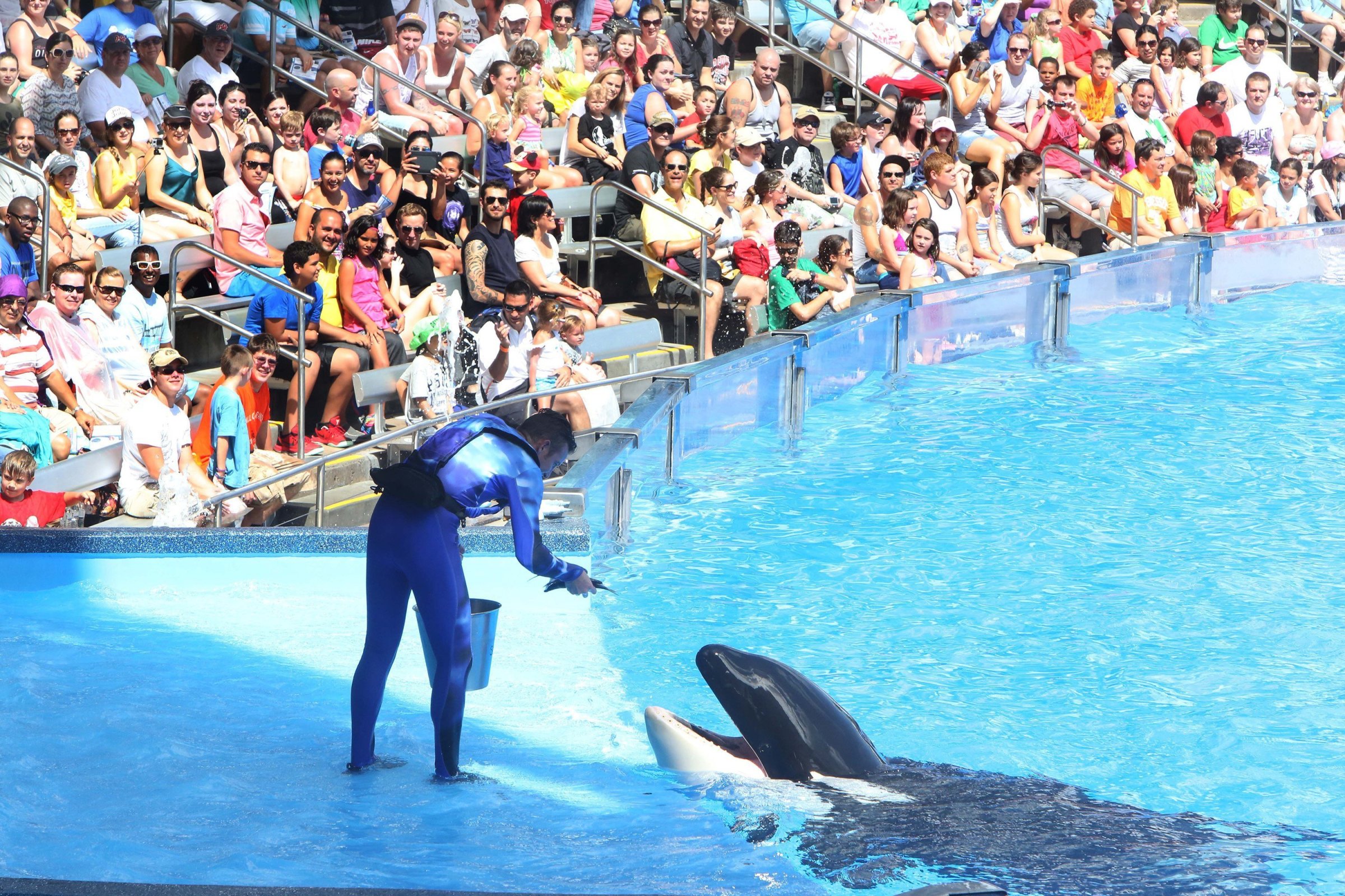 SeaWorld is heavily emphasizing conservation amid controversy over its killer whales.