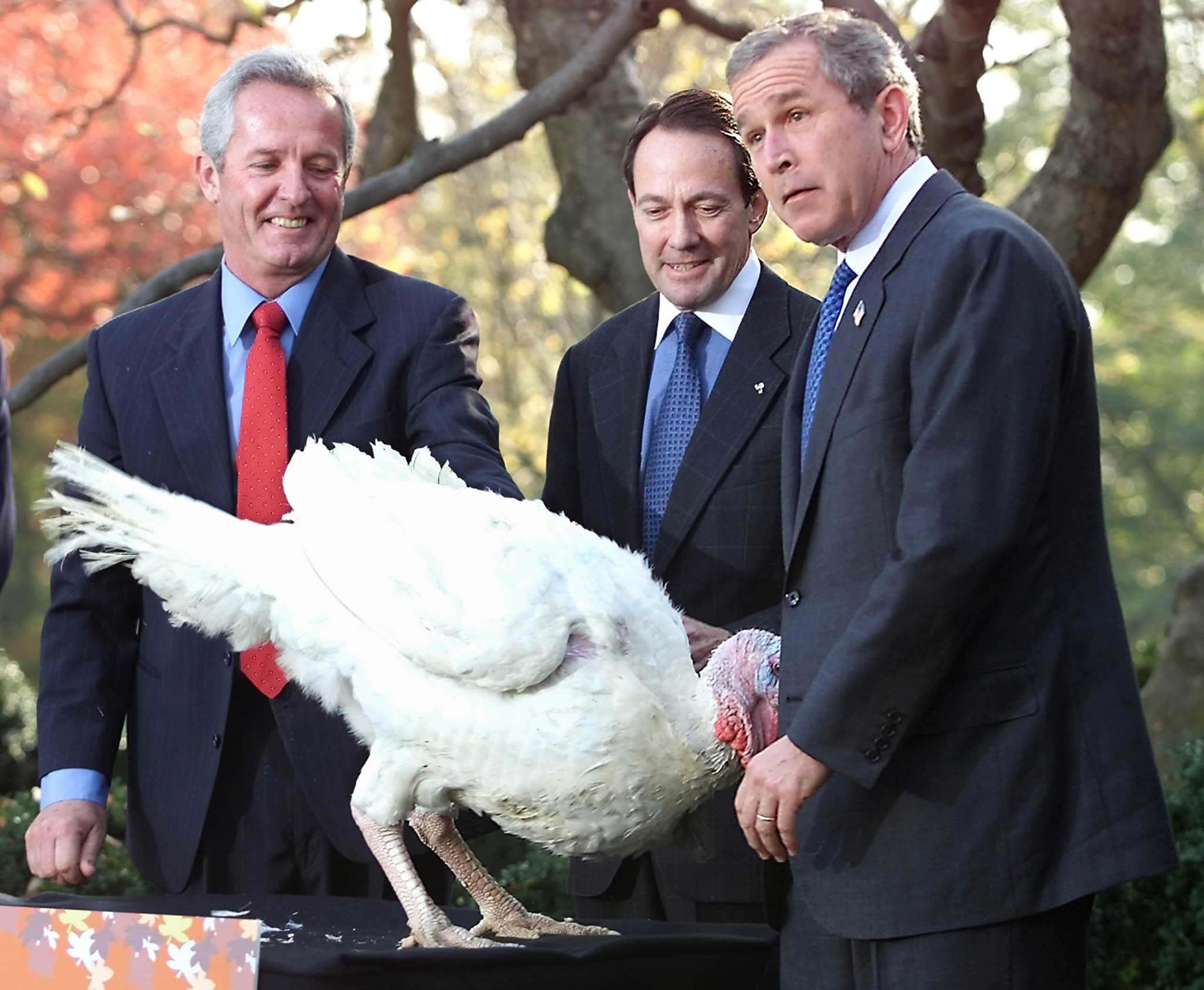 President George W. Bush meets Liberty the turkey to receive the annual Thanksgiving Presidential Pardon in the Rose Garden of the White House on Nov. 19, 2001.