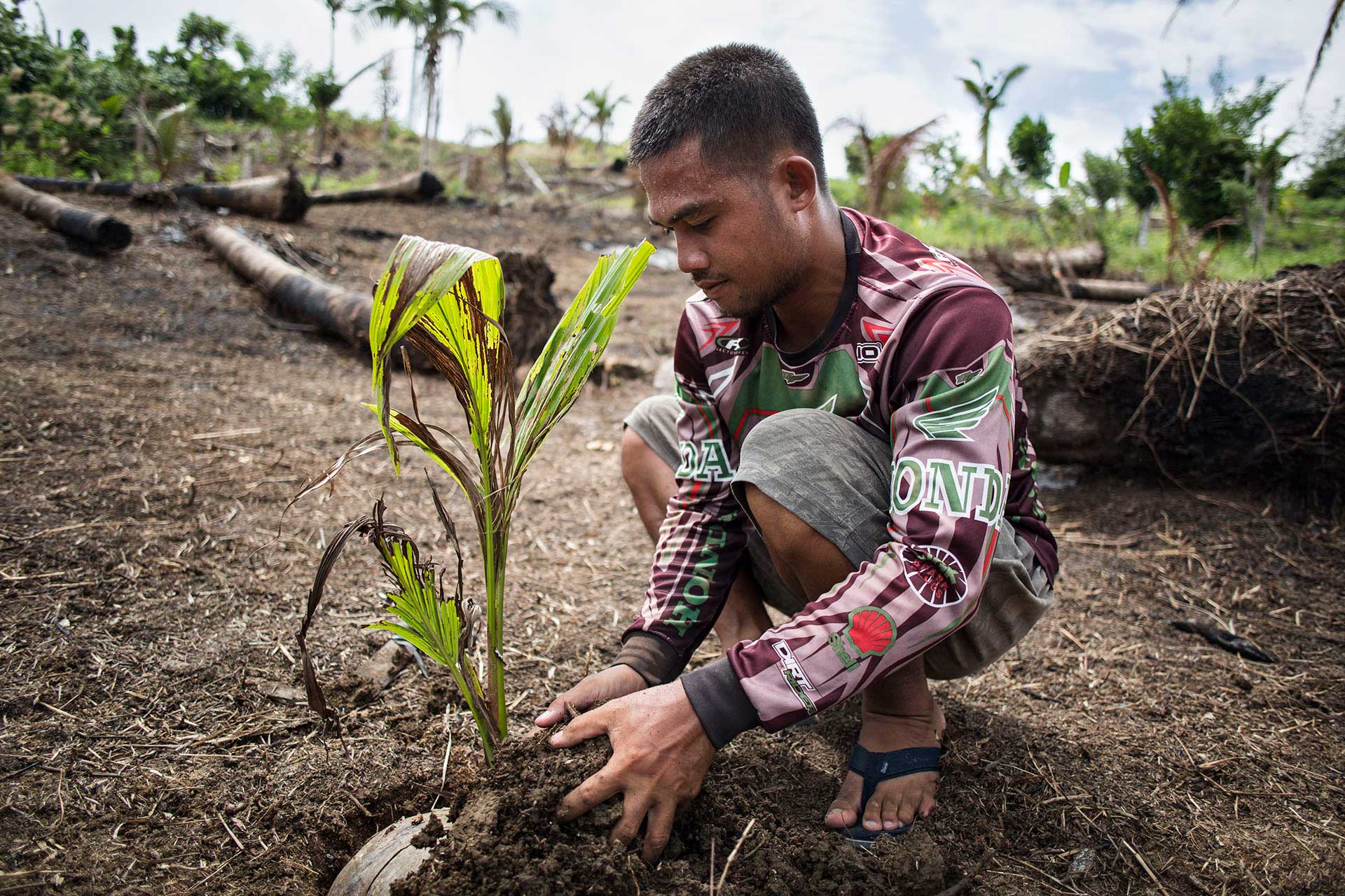 Ronald Barsana sows a coconut seedling in Maslog, the Philippines, on Oct. 5, 2014. (Per Liljas)