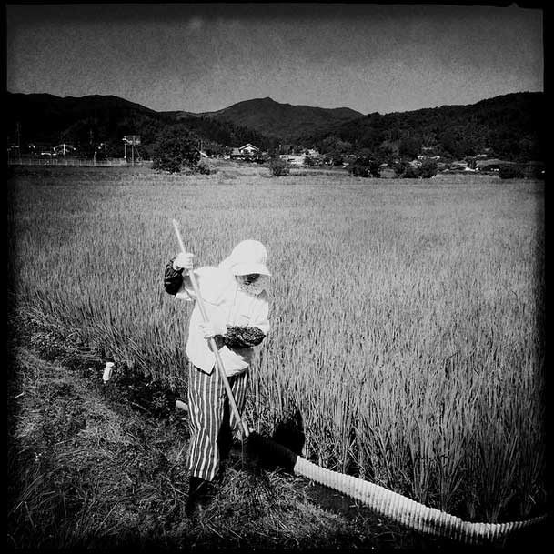 Japan’s Nuclear Power Plant Belt: A 65 year old woman Yumiko Aoki works at her rice field during a super hot day, in an extremely depopulating Oku-Izumo in Shimane, one of the nuke-plant prefectures in Japan. All of nuke power plant regions and nearby have faced the drastic depopulation, the shrinking of job market and the aging society. That was one of the biggest reasons nuke reactors were created in such areas, though after the 2011 Fukushima nuke power plant disaster, all reactors have been suspend for the operation. Yet, the Japanese government and many residents of the nuke power plant belt want to resume. #japan’s_nuclear_power_plant_belt #old_people #oku_izumo #depopulation #aging_society #shimane #japan #rural_area #countryside #handy_capped #iphonephotography #photodocumentary