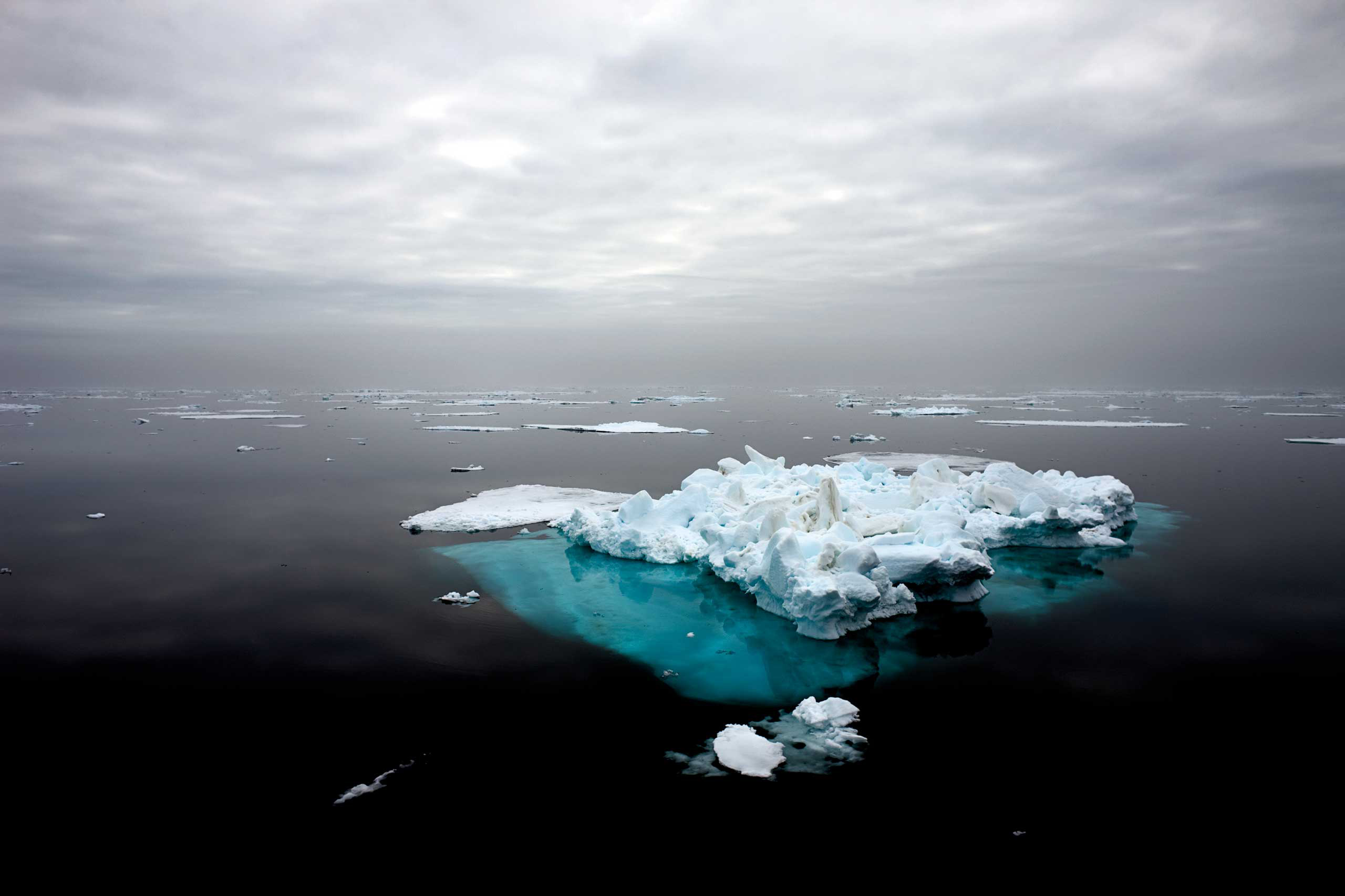 Sea Ice Remnant
                              Svalbard, July 2008