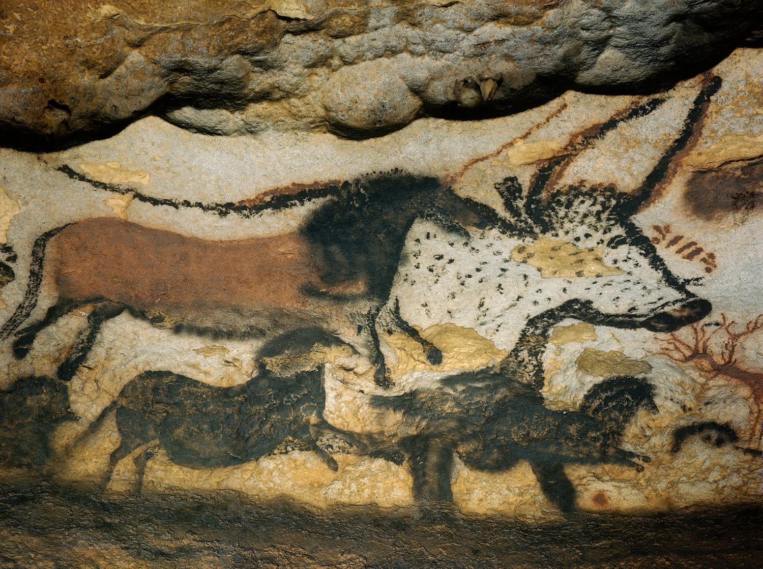 One of the first color photographs ever made in the caves at Lascaux, 1947.