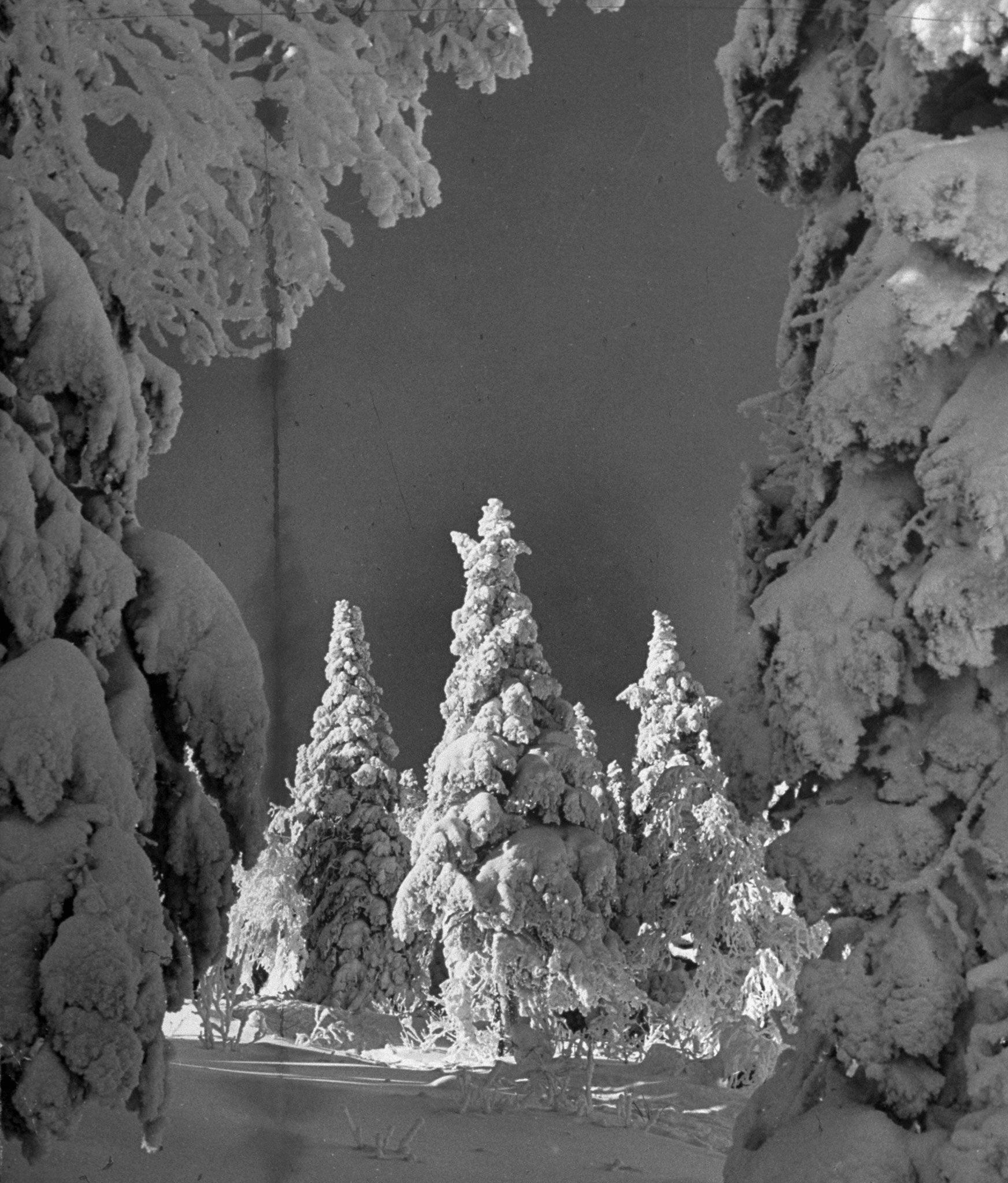 Mont-Tremblant, Canada, 1945.