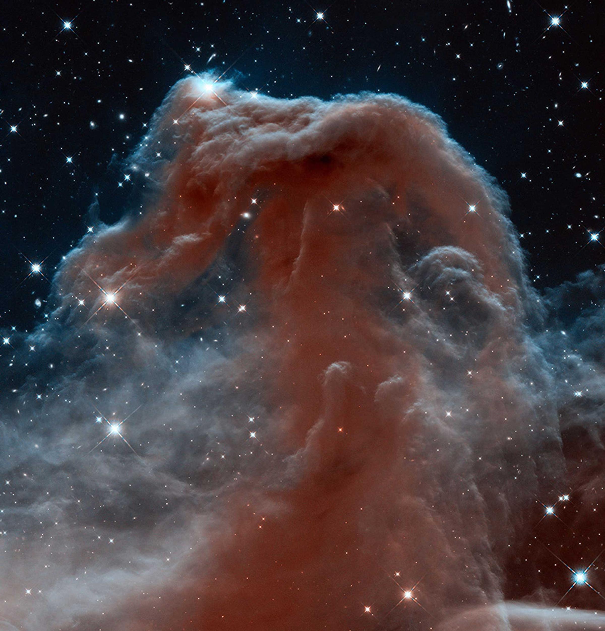 A new view of the famous Horsehead Nebula taken by the Hubble Space Telescope in infrared wavelengths. The nebula, shadowy in optical light, appears transparent and ethereal when seen in the infrared, represented here with visible shades.