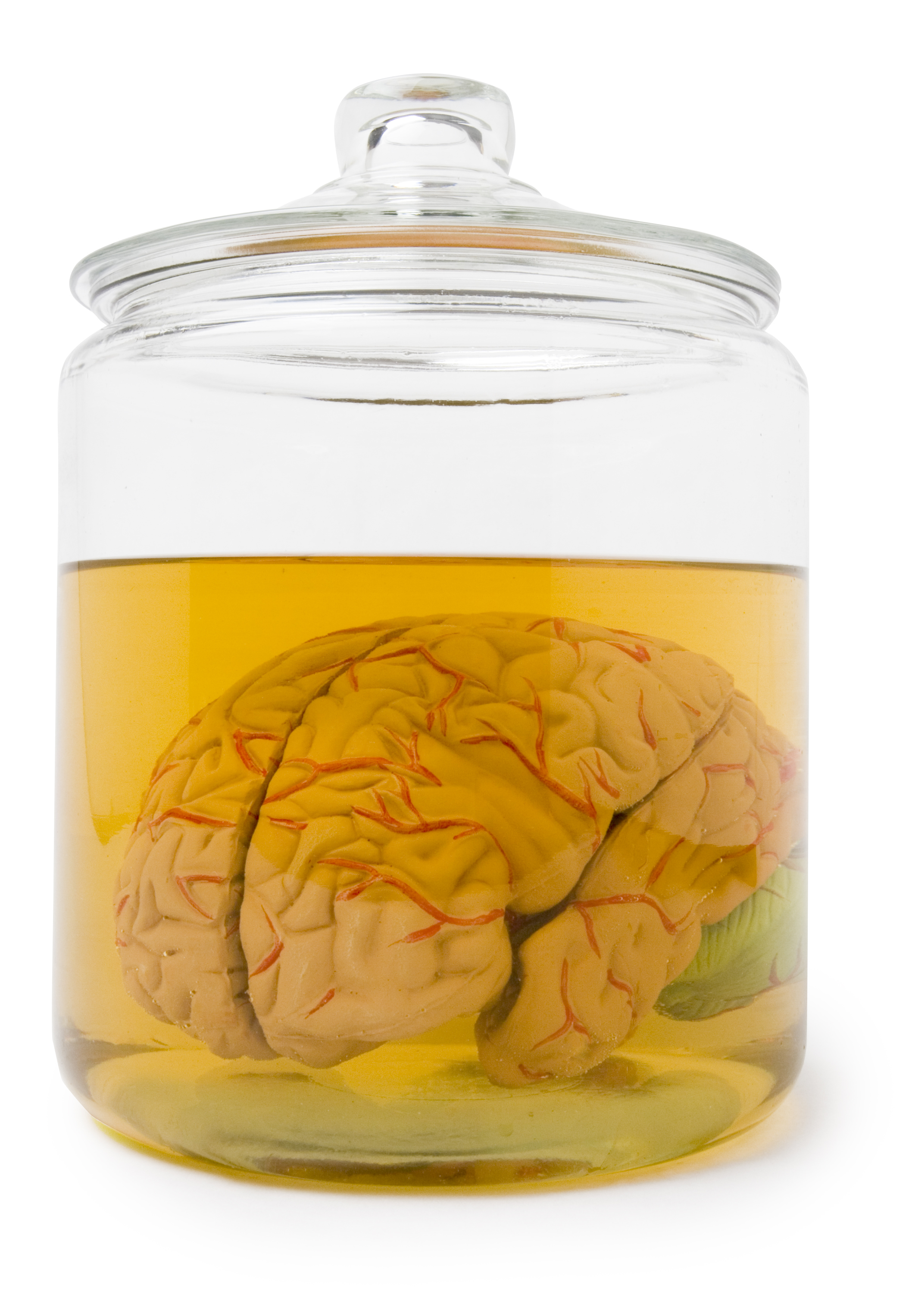 Brain in a jar with clipping path (Kenneth C. Zirkel&mdash;Getty Images)