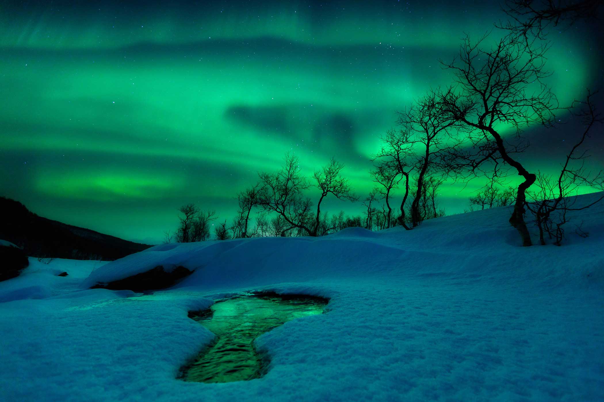 The aurora borealis traces the shifting patterns of the Earth's magnetic field, creating a spectacular midwinter show in Nordland Fylke, Norway. The green light in this image comes from oxygen atoms high in the atmosphere, which have been energized by subatomic particles from the solar wind.