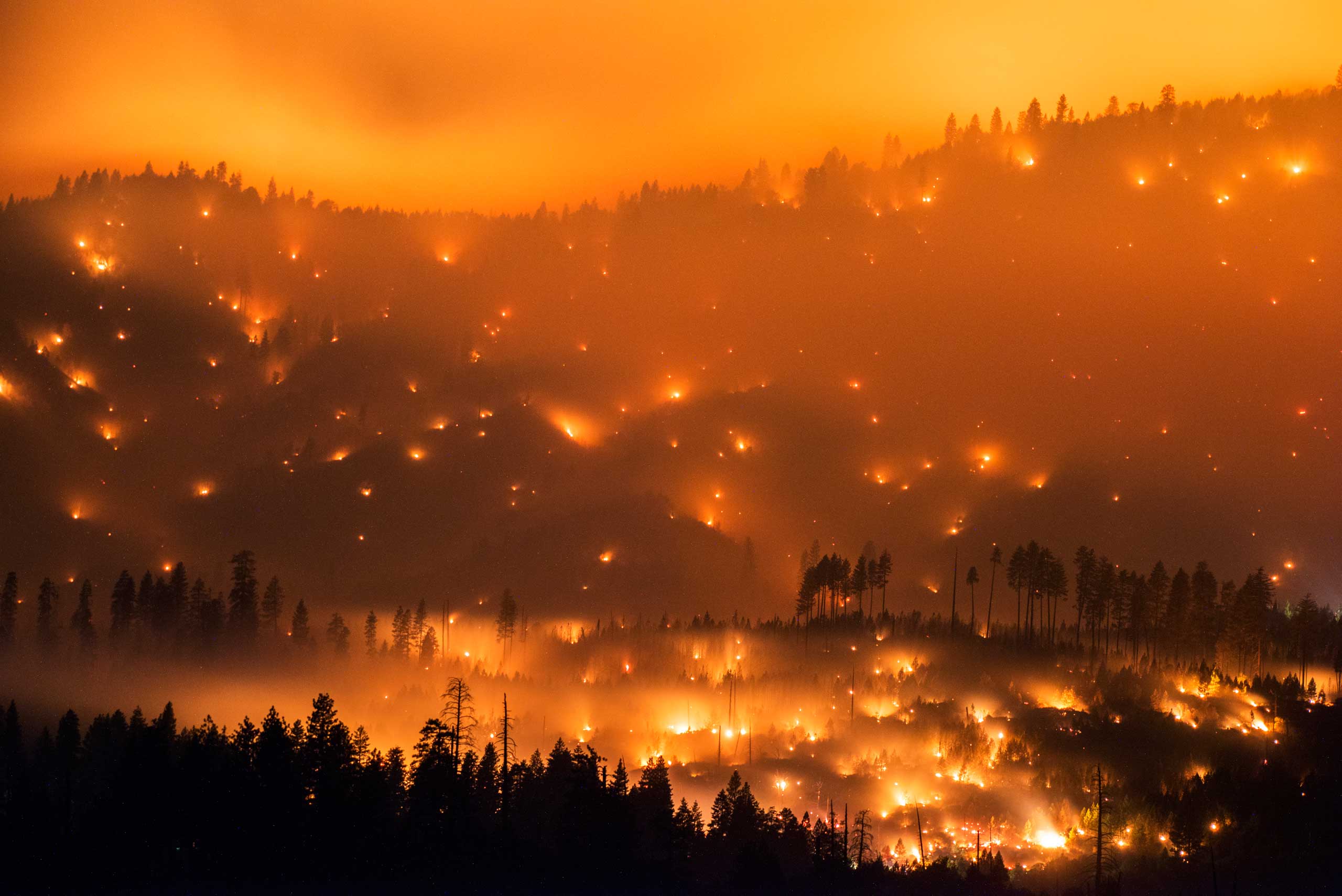 The El Portal Fire burns on a hillside  in the Stanislaus National Forest and Yosemite National Park on Sunday evening July 27, 2014.