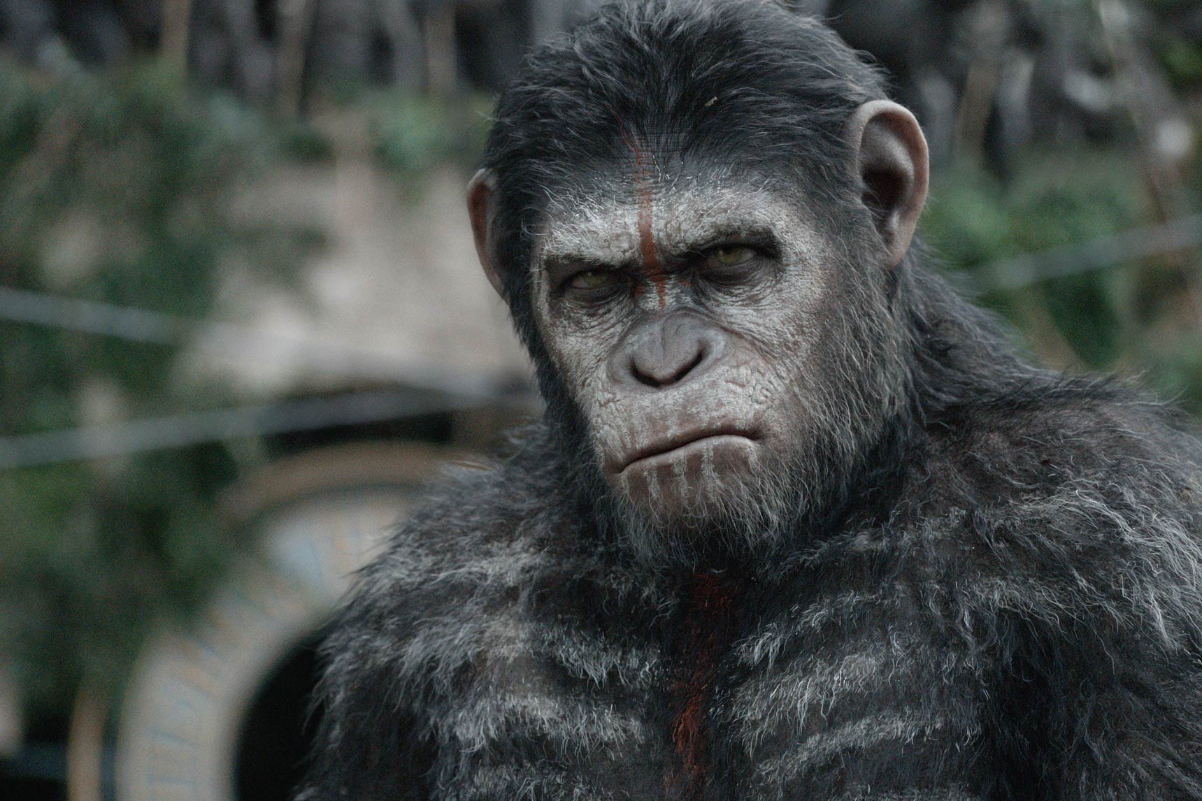 <strong>8. <i>Dawn of the Planet of the Apes</i> - $208,545,589</strong> (20th Century Fox)
