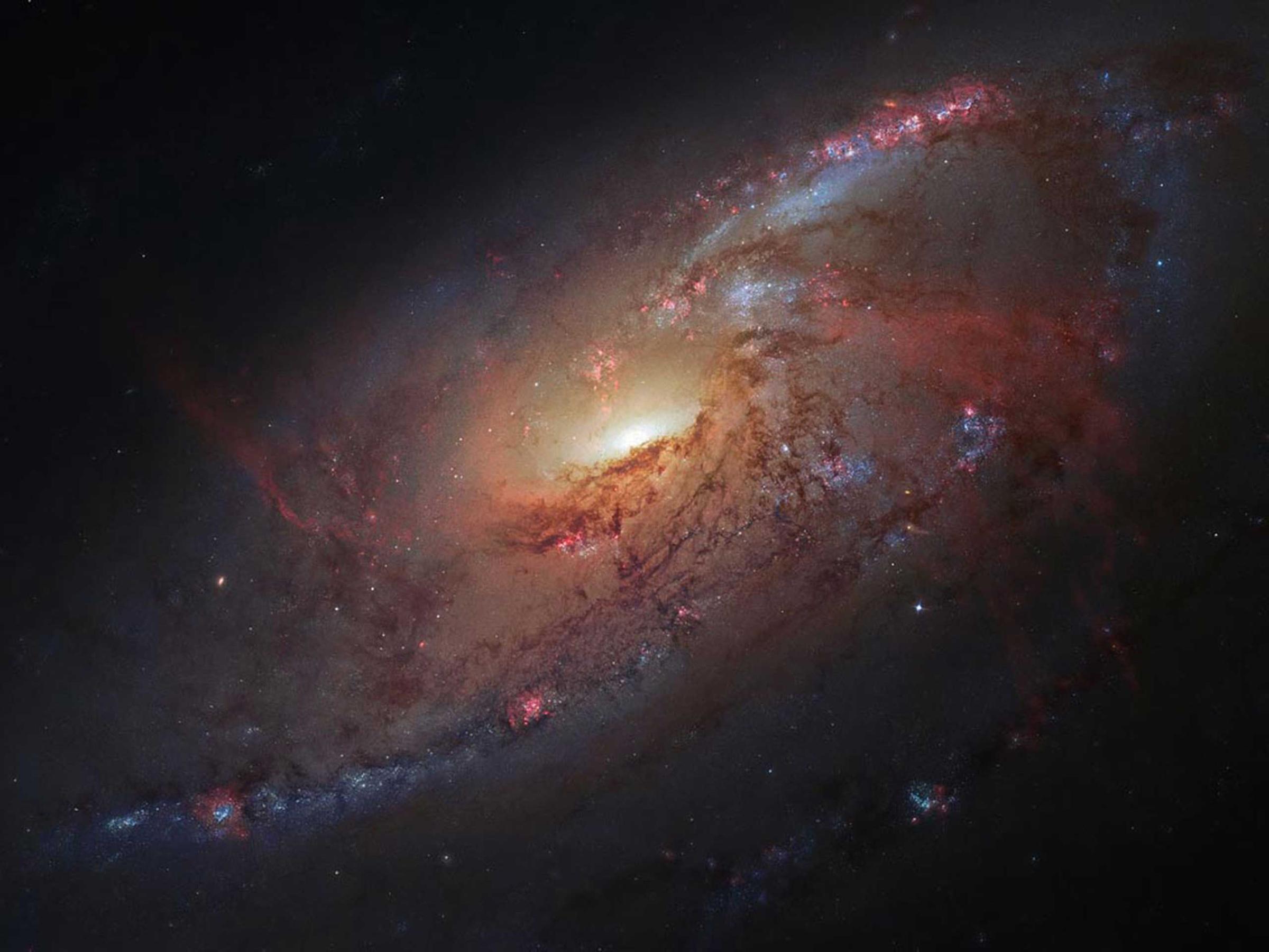 This image combines Hubble Space telescope observations of the M 106 galaxy with additional information captured by amateur astronomers Robert Gendler and Jay GaBany.