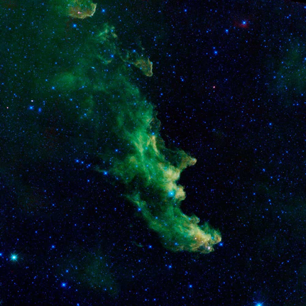 The Witch Head nebula, as seen by NASA's Wide-field Infrared Survey Explorer (WISE). Astronomers believe the billowy clouds of the nebula, where baby stars are brewing, are being lit up by massive older stars.