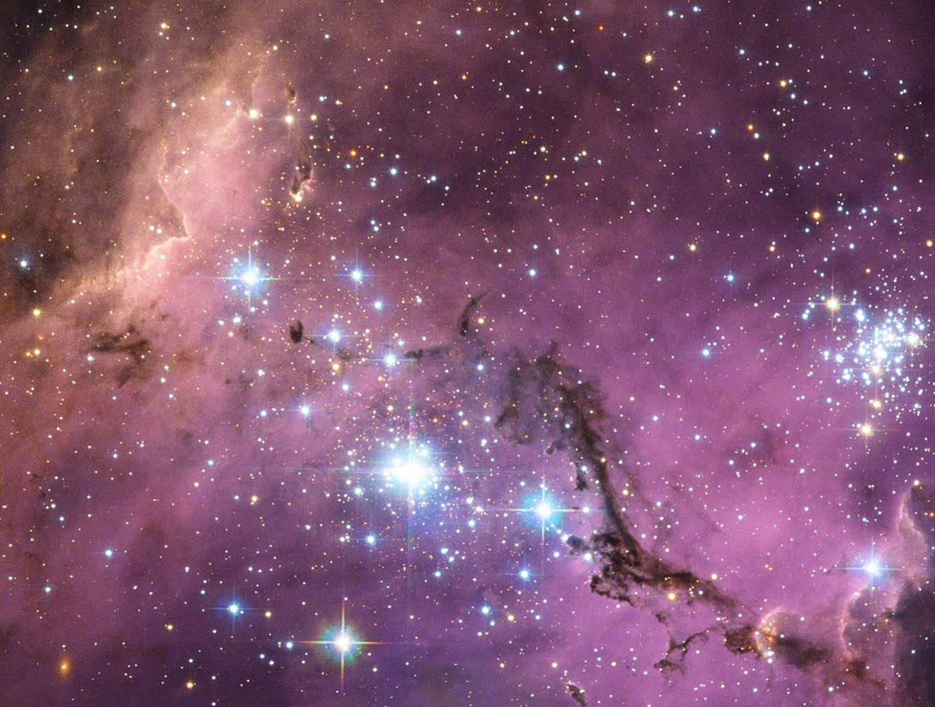 Nearly 200, 000 light-years from Earth, lies the Large Magellanic Cloud, a satellite galaxy of the Milky Way. As the Milky Way's gravity gently tugs on its neighbor's clumps of diffuse dust and gas, they collapse to form new stars. In turn, these light up the ambient gas in a kaleidoscope of colors.