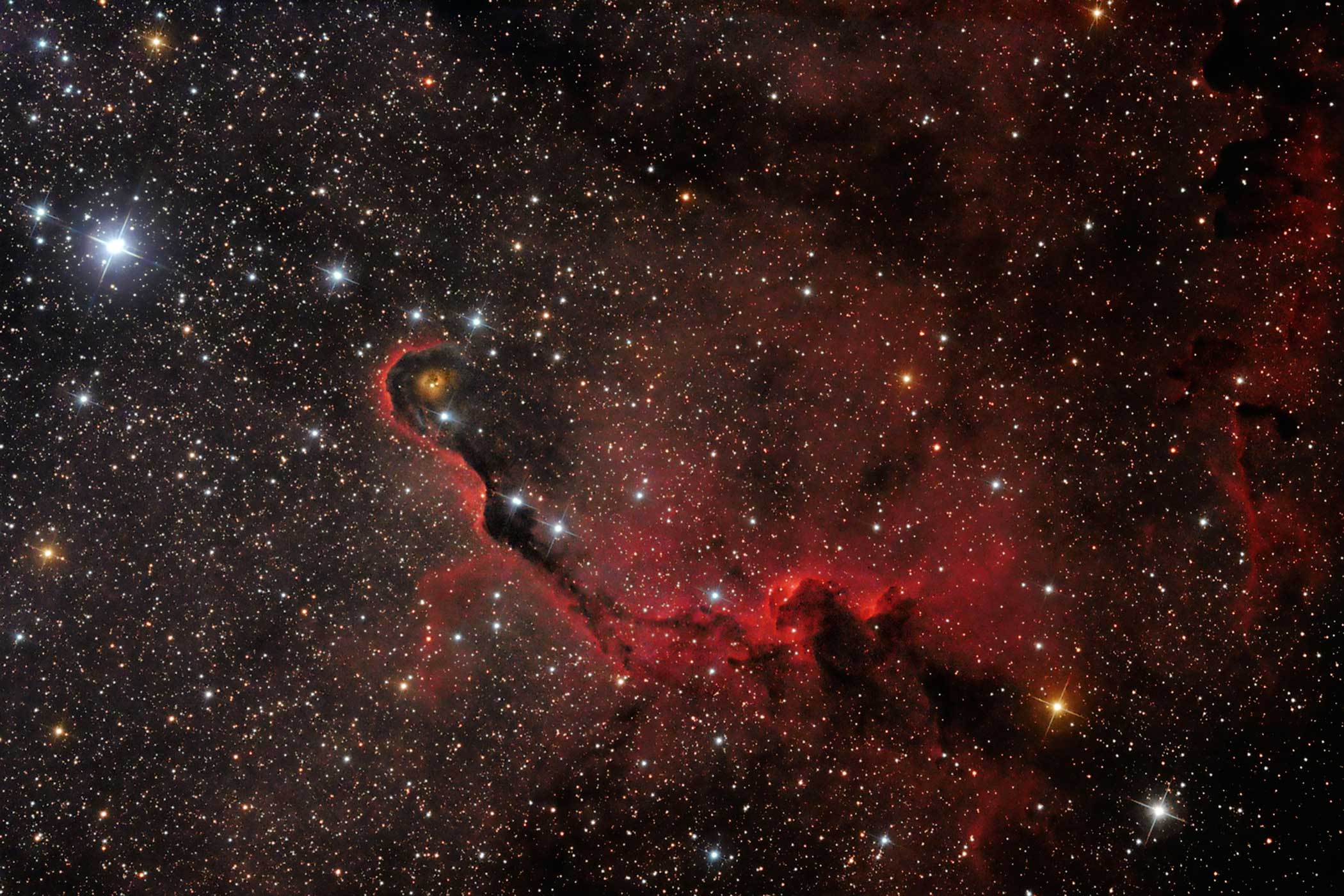 The Elephant's Trunk seems to uncoil from the dusty nebula on the right of the image, its tip curled around a cavity carved out by the radiation produced by young stars. Capturing a deep sky object like this takes skill and painstaking attention to detail and is a great achievement for a newcomer to astrophotography.