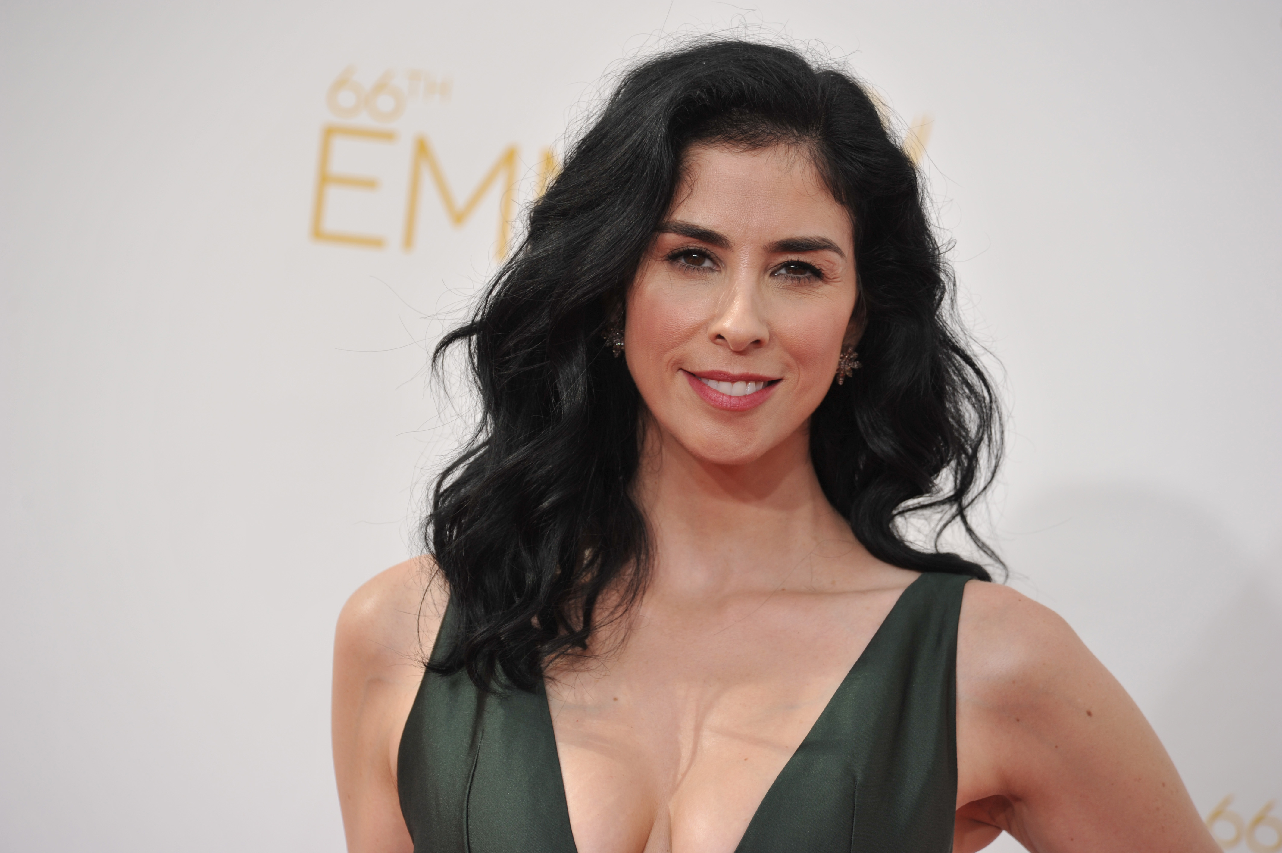 Sarah Silverman arrives at the 66th Annual Primetime Emmy Awards at the Nokia Theatre L.A. Live on Monday, Aug. 25, 2014, in Los Angeles. (Photo by Richard Shotwell/Invision/AP) (Richard Shotwell&mdash;Richard Shotwell/Invision/AP)