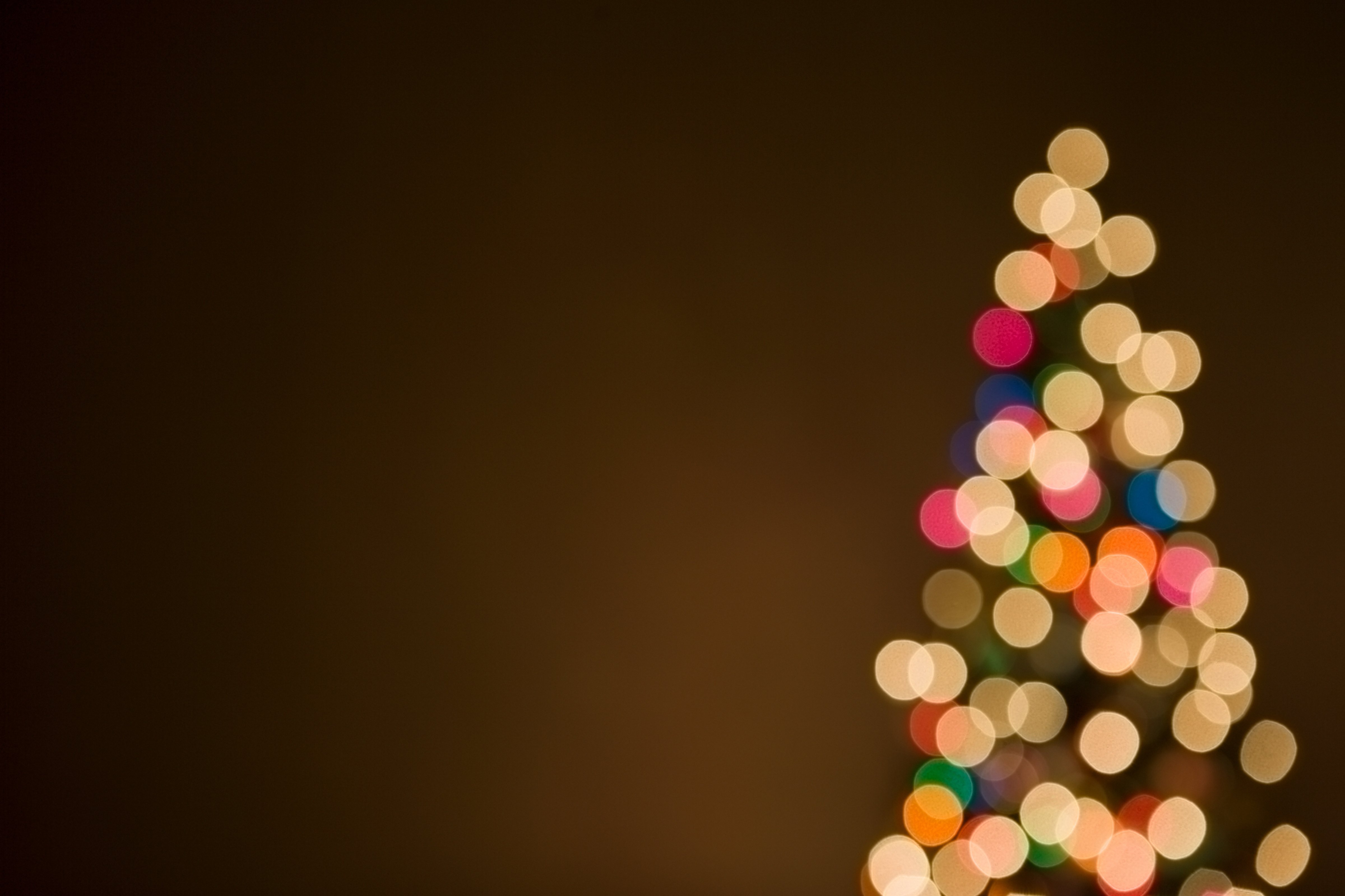 Christmas lights on tree, out of focus