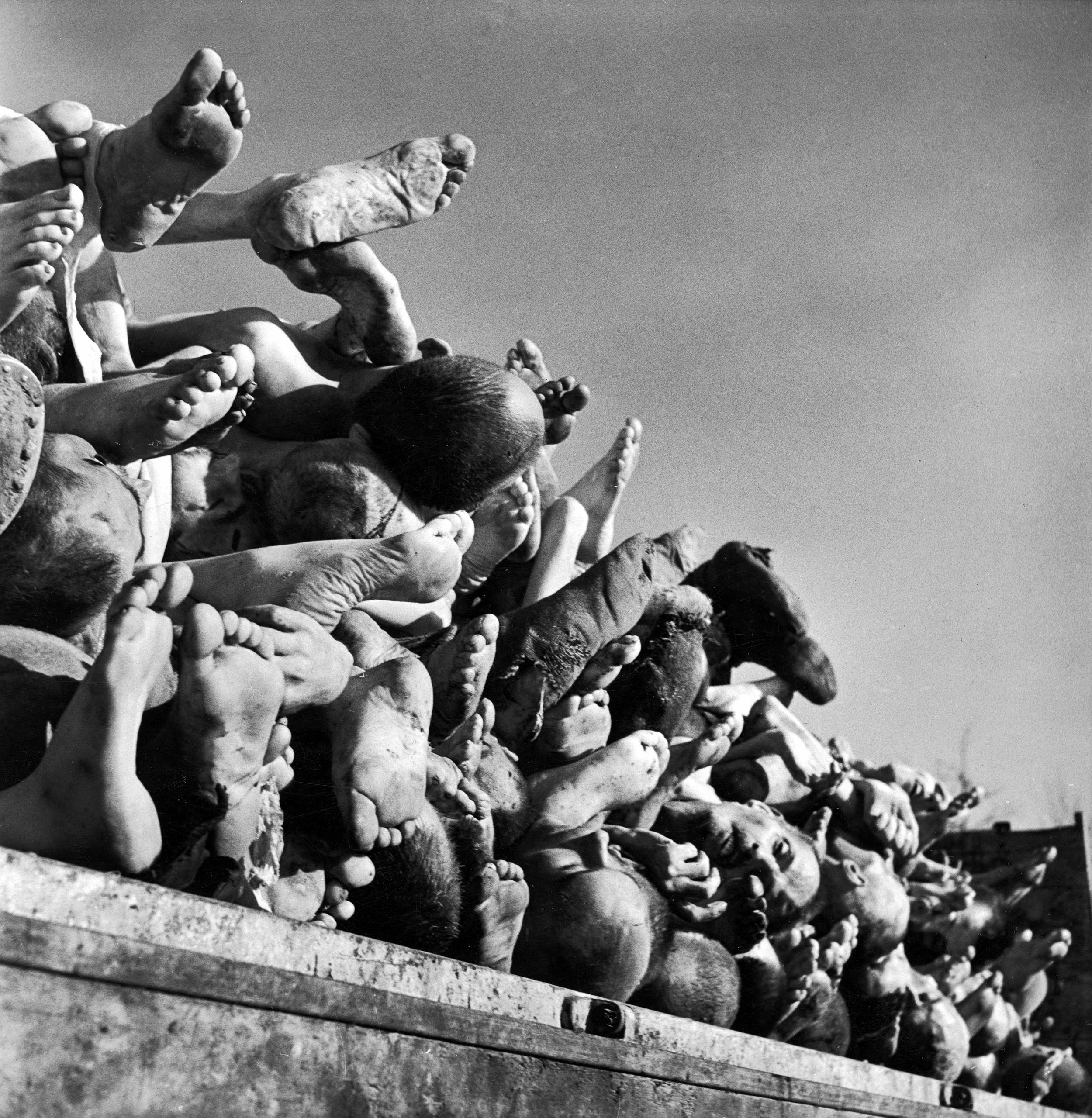 Not published in LIFE. The dead at Buchenwald, piled high outside the camp's incinerator plant, April 1945.