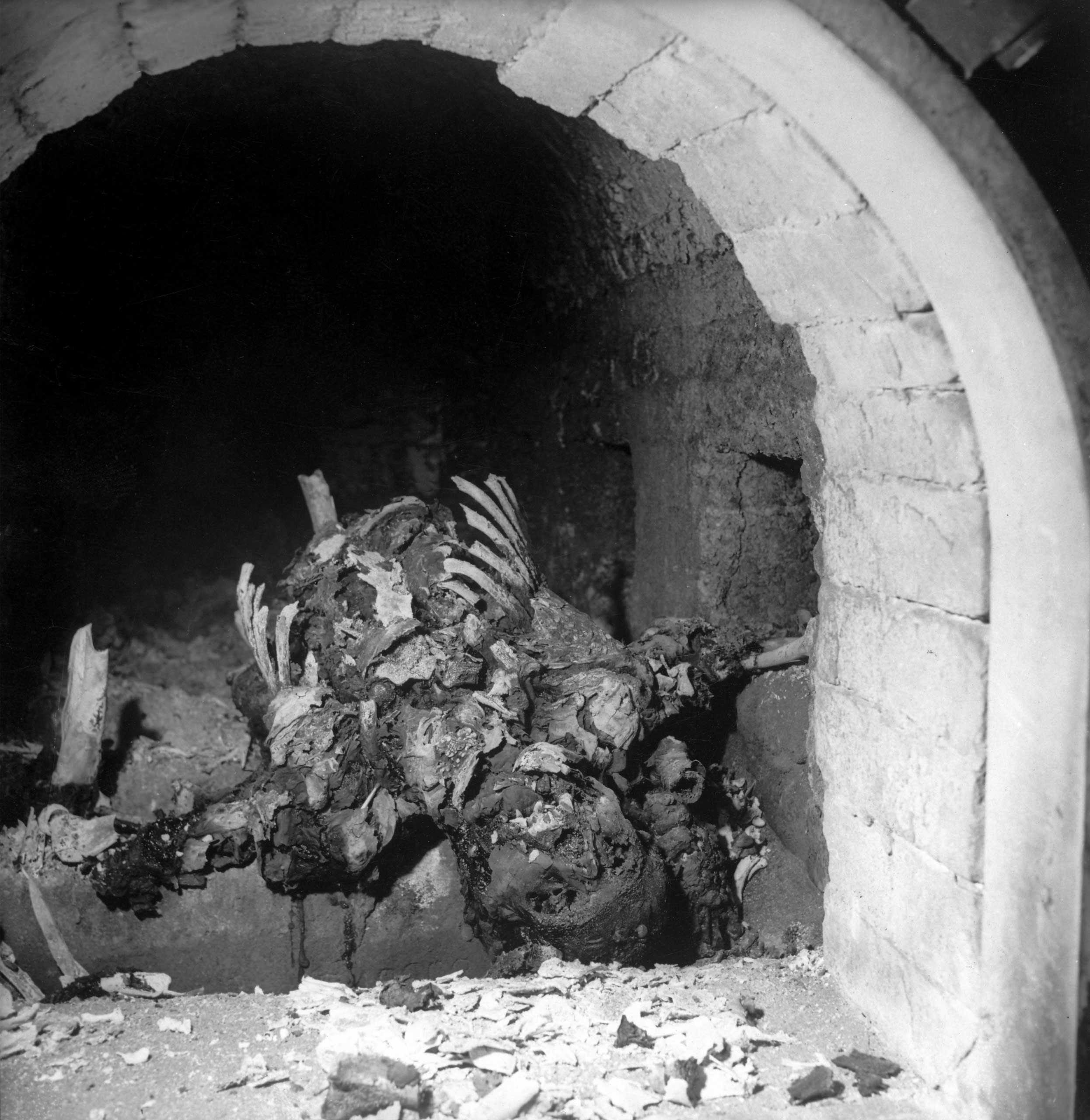 Not published in LIFE. The remains of an incinerated prisoner inside a Buchenwald cremation oven, April 1945.
