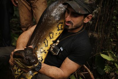 Paul Rosolie on 'Eaten Alive' (Discovery Channel)