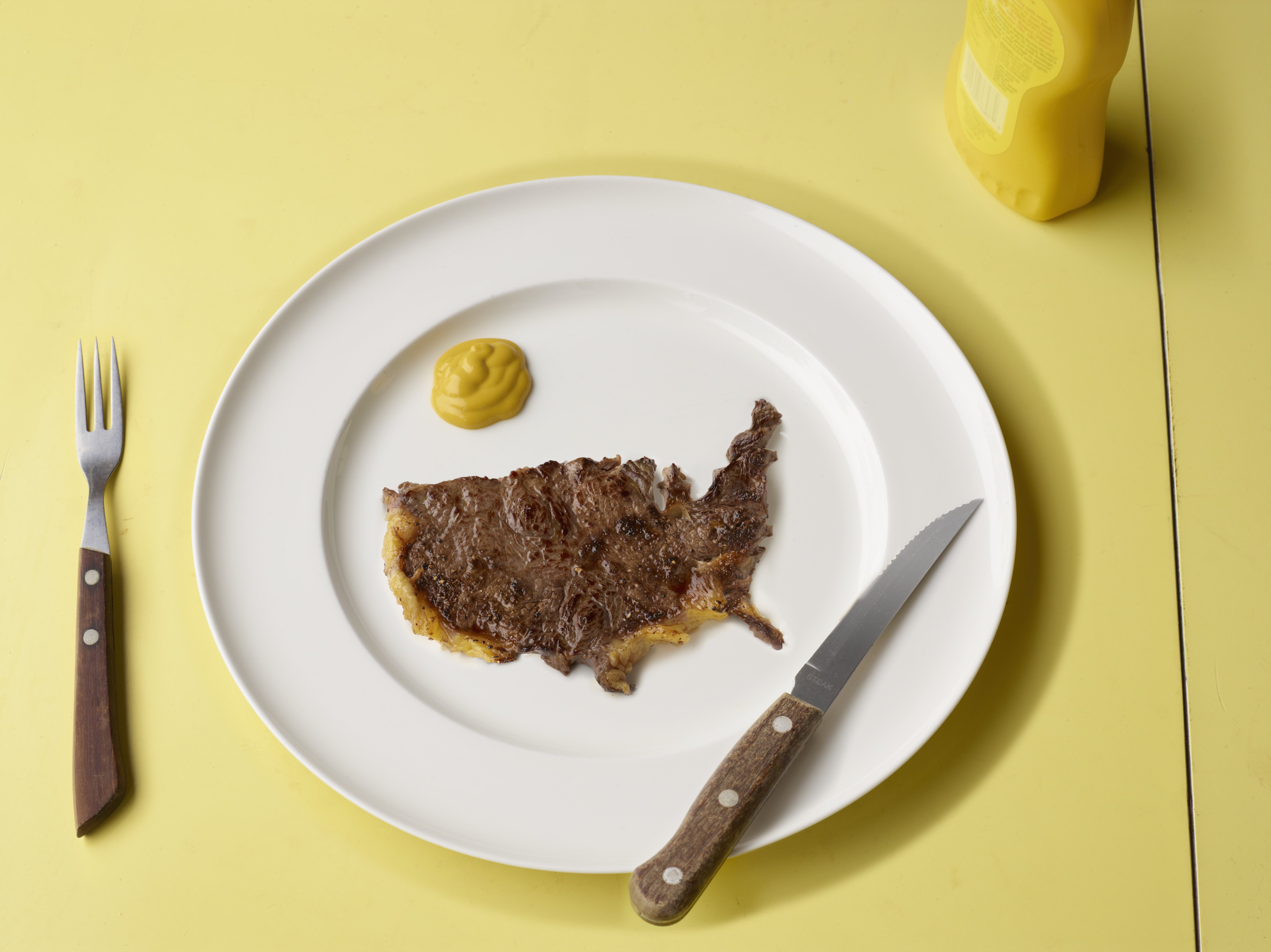 Slice of meat in shape of US